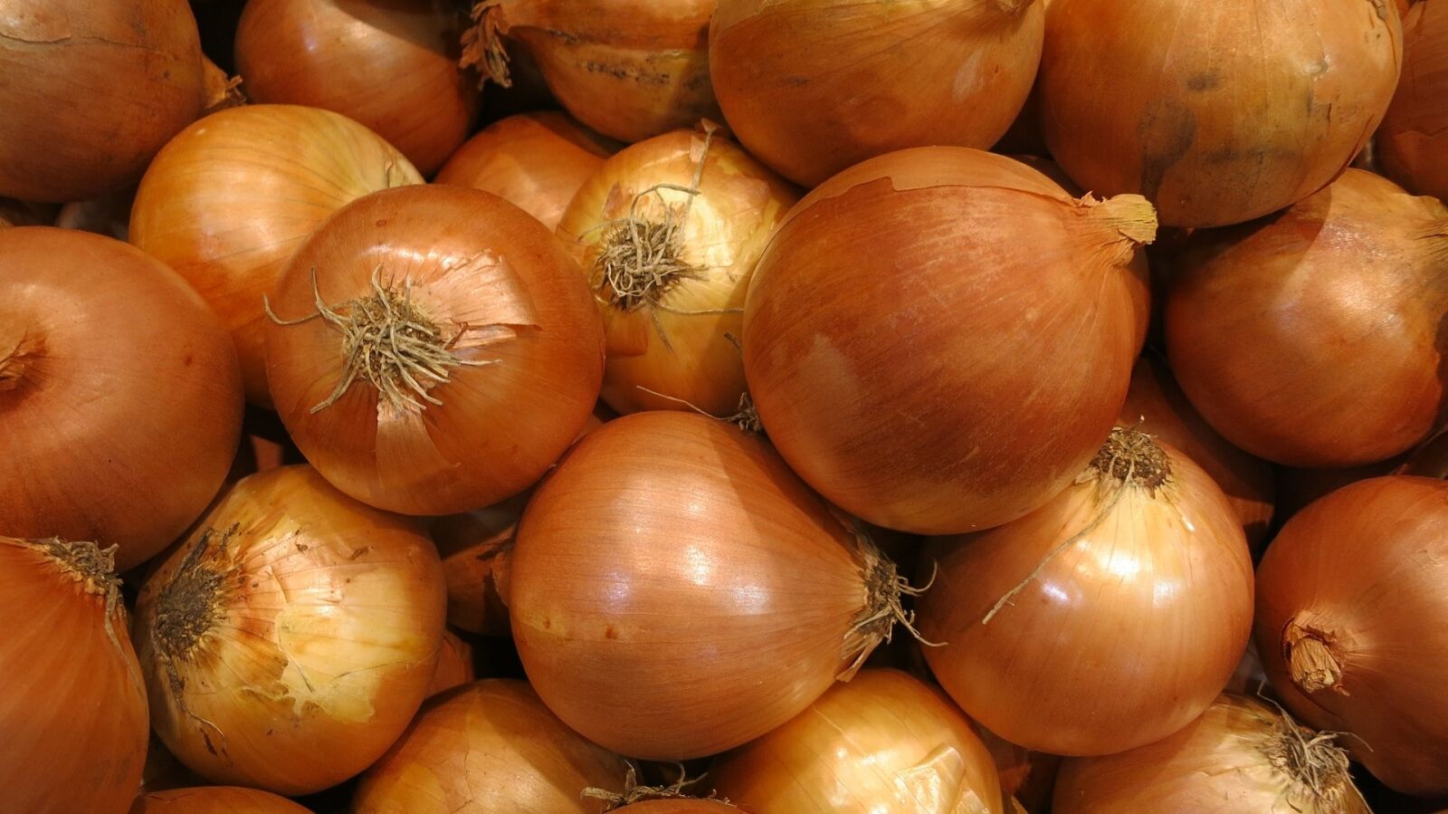 Canon PowerShot S110 sample photo. Yellow onions, fresh, seasoning photography
