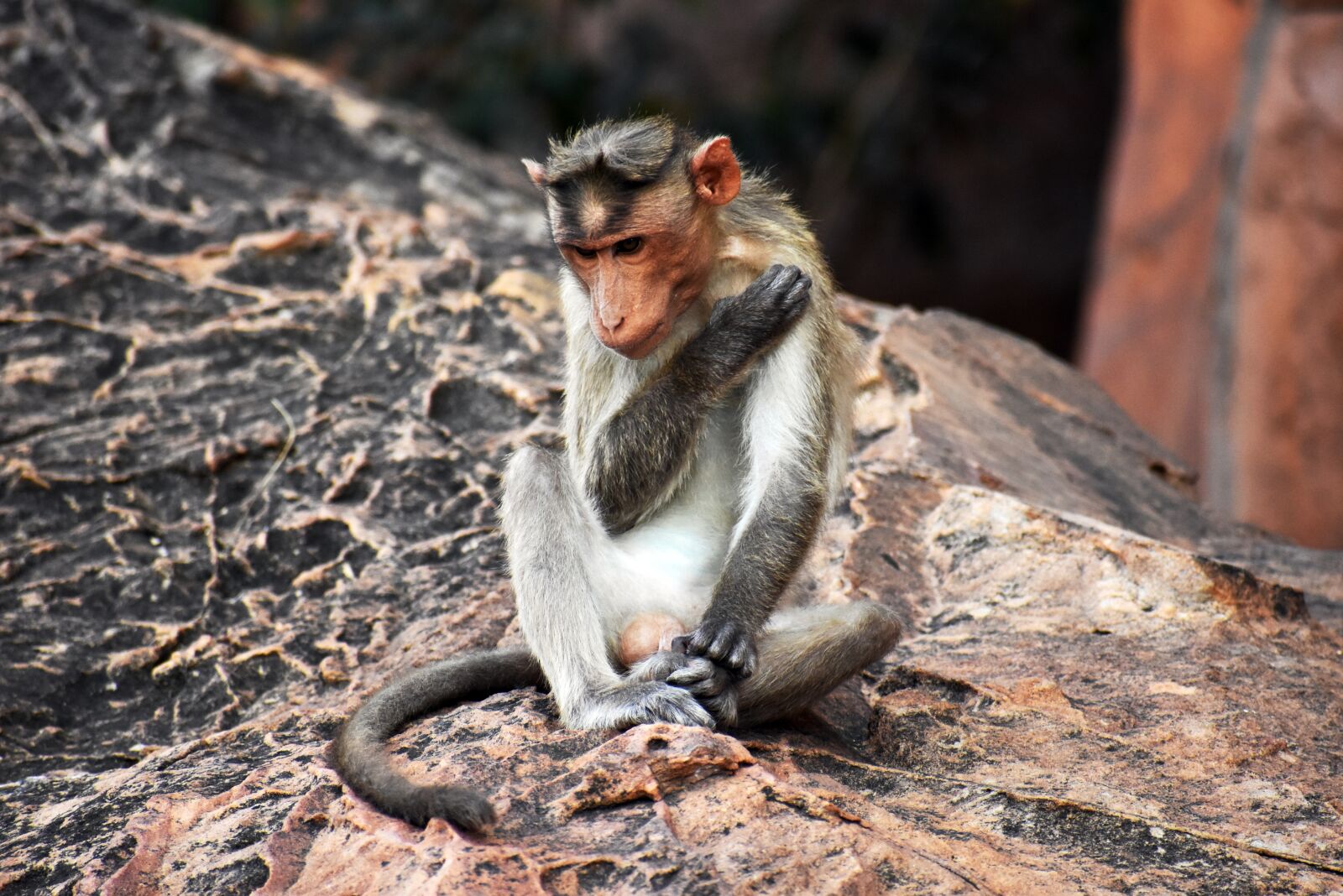 Nikon D3400 sample photo. Ancienthindu, caves, badami photography