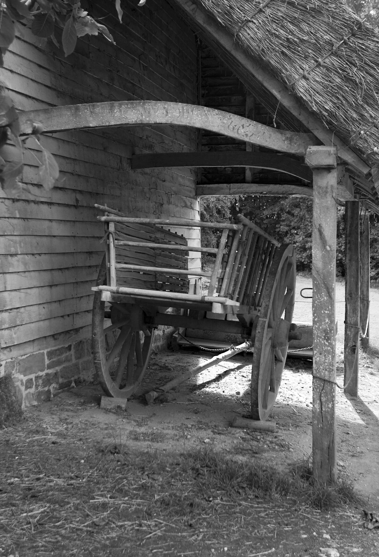 Canon EOS-1D Mark II N sample photo. Ox cart, timber construction photography