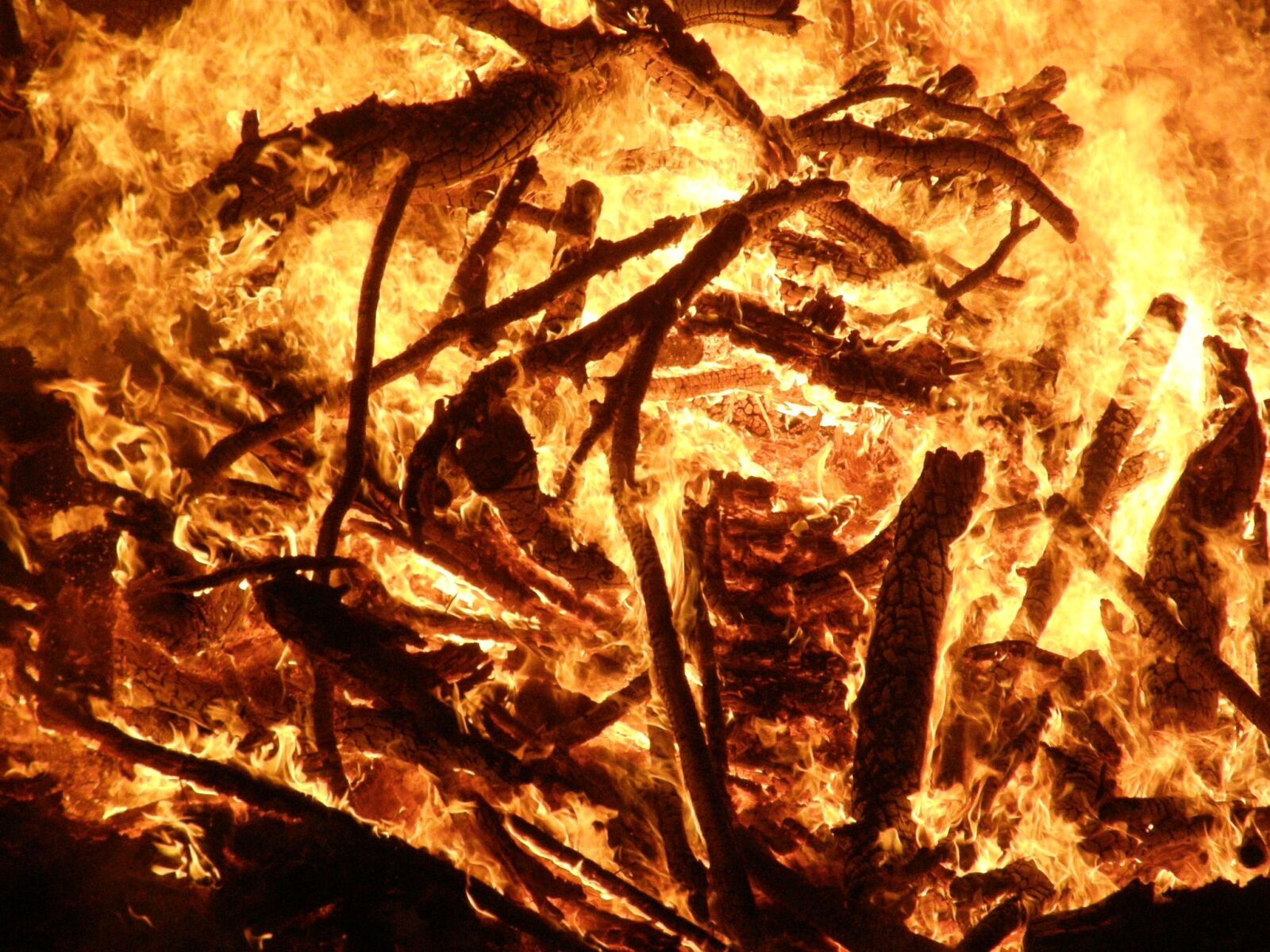 Olympus SP550UZ sample photo. Fire, embers, midsummer photography