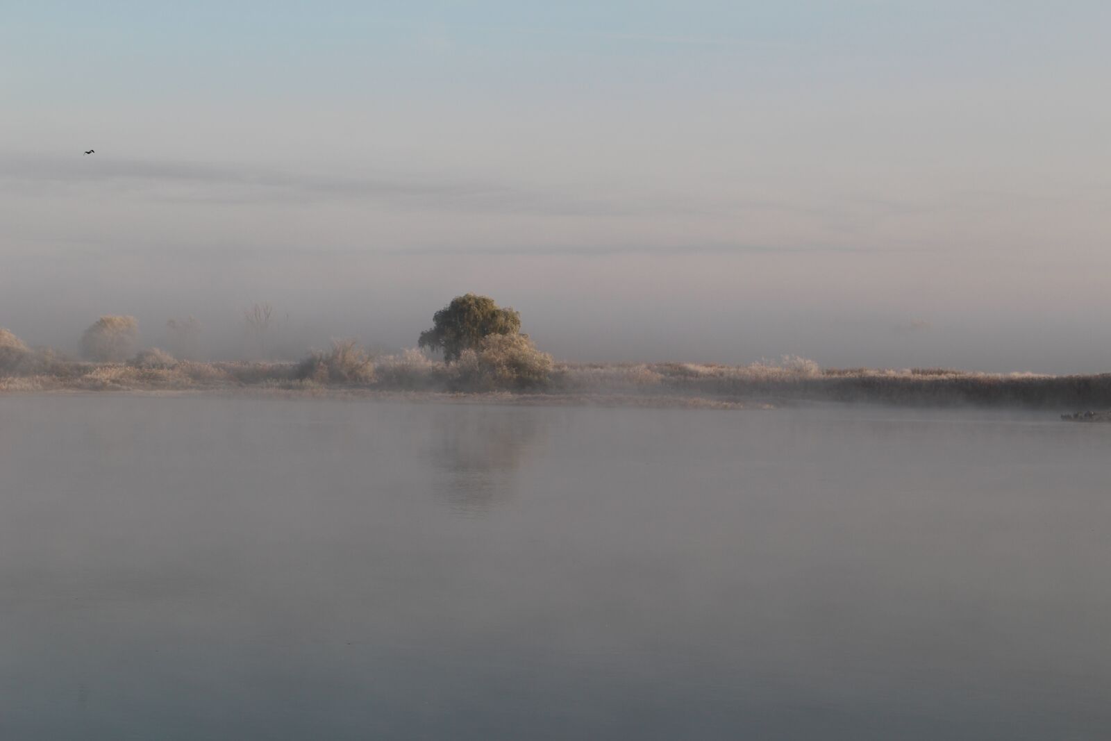 Canon EOS 100D (EOS Rebel SL1 / EOS Kiss X7) sample photo. Winter, elbe, fog photography