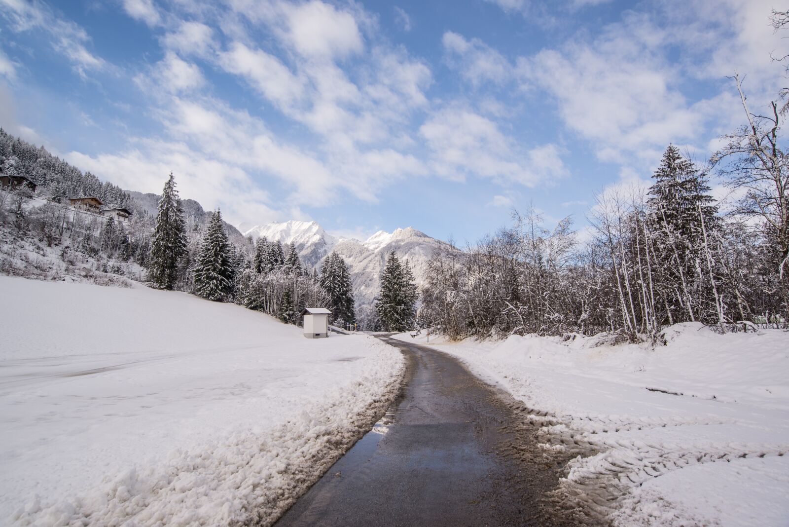 Nikon D610 sample photo. Road, corner, way photography