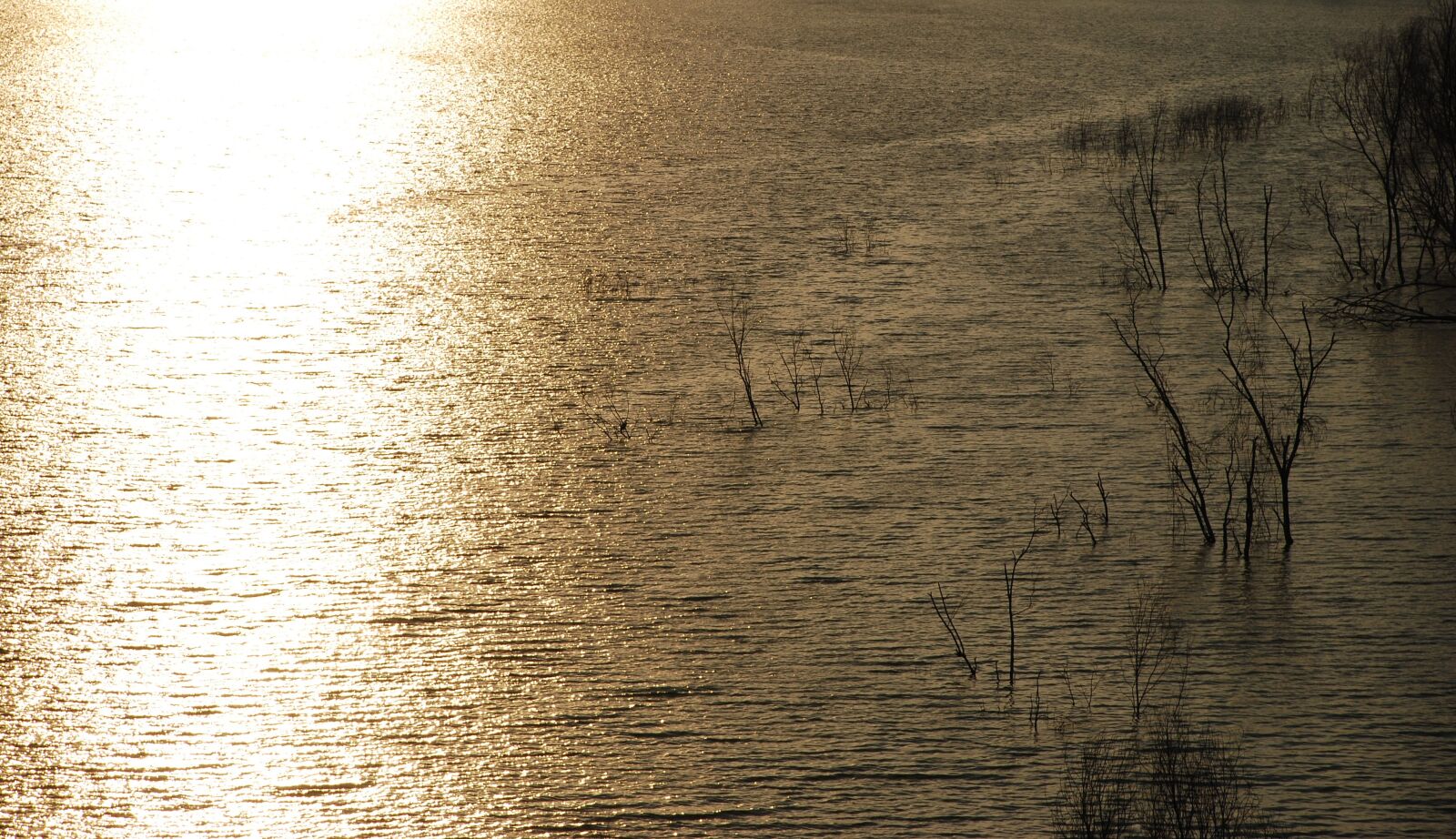 Nikon D80 sample photo. Sunny, water, paradise photography