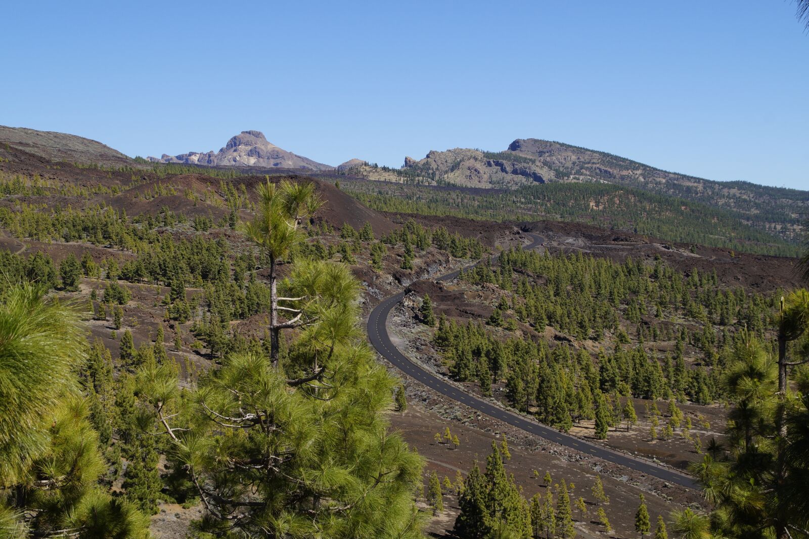 Sony SLT-A58 sample photo. Teide national park, national photography