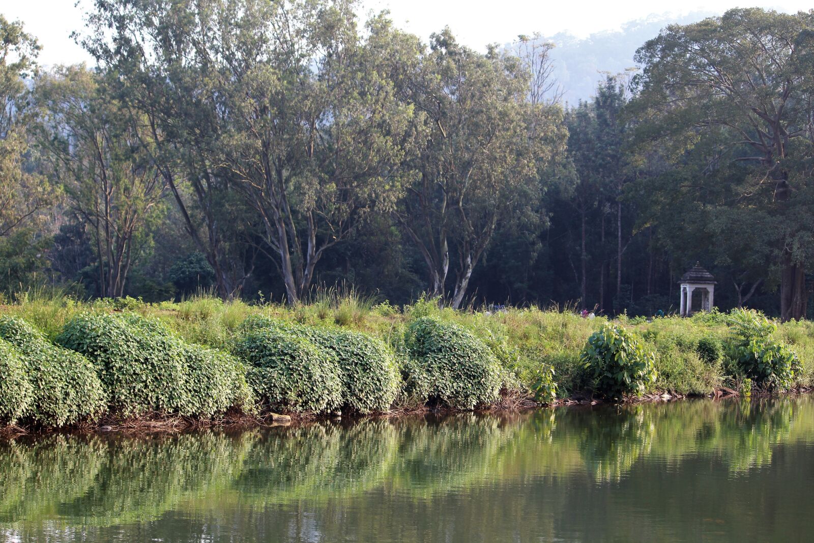 Canon EOS 1200D (EOS Rebel T5 / EOS Kiss X70 / EOS Hi) sample photo. Scenery, reflection, water photography