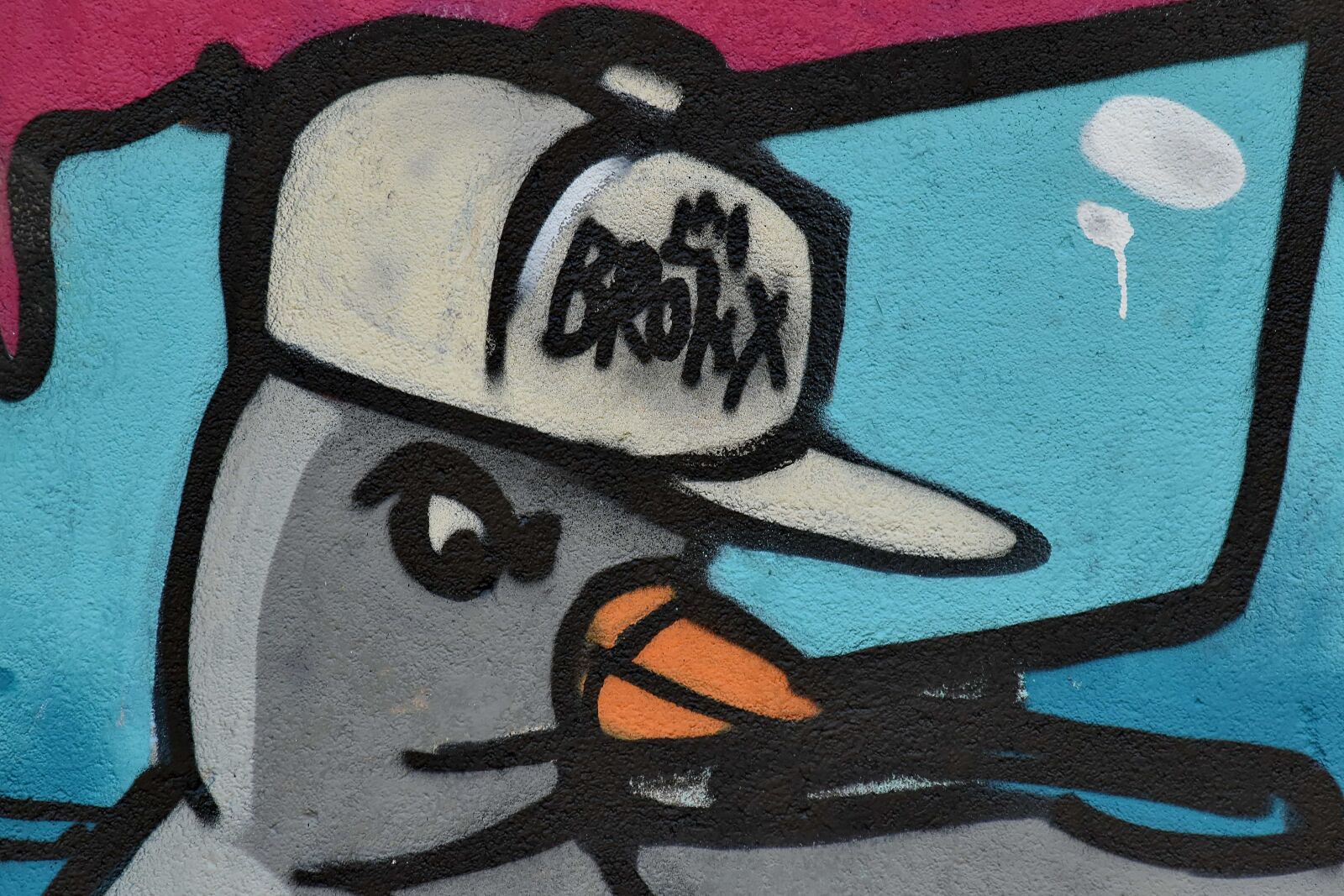Nikon D5500 sample photo. Bird, graffiti, art, creativity photography