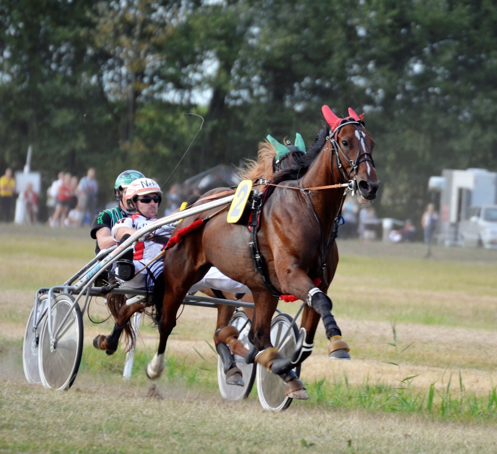 Nikon D5100 sample photo. Trotting, sulky, equestrian photography