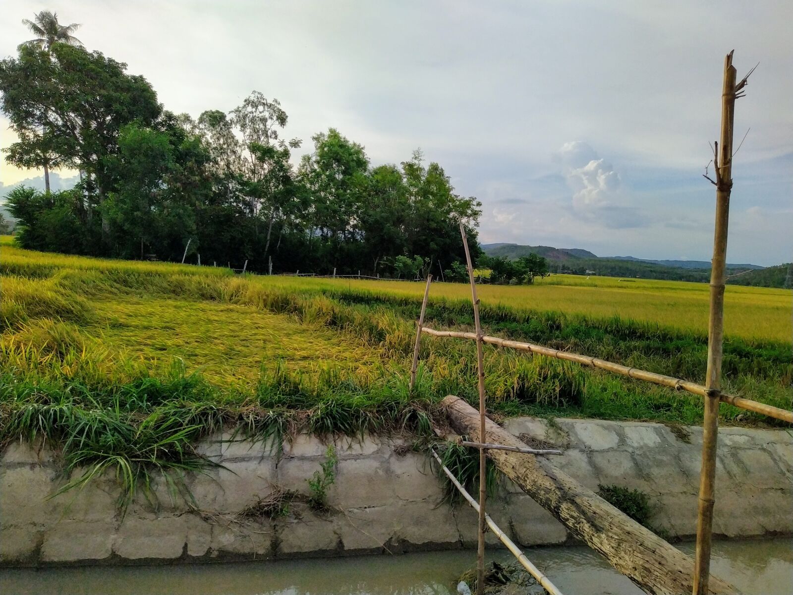 HMD Global Nokia 7.2 sample photo. Footbridges, rice fields, cooked photography