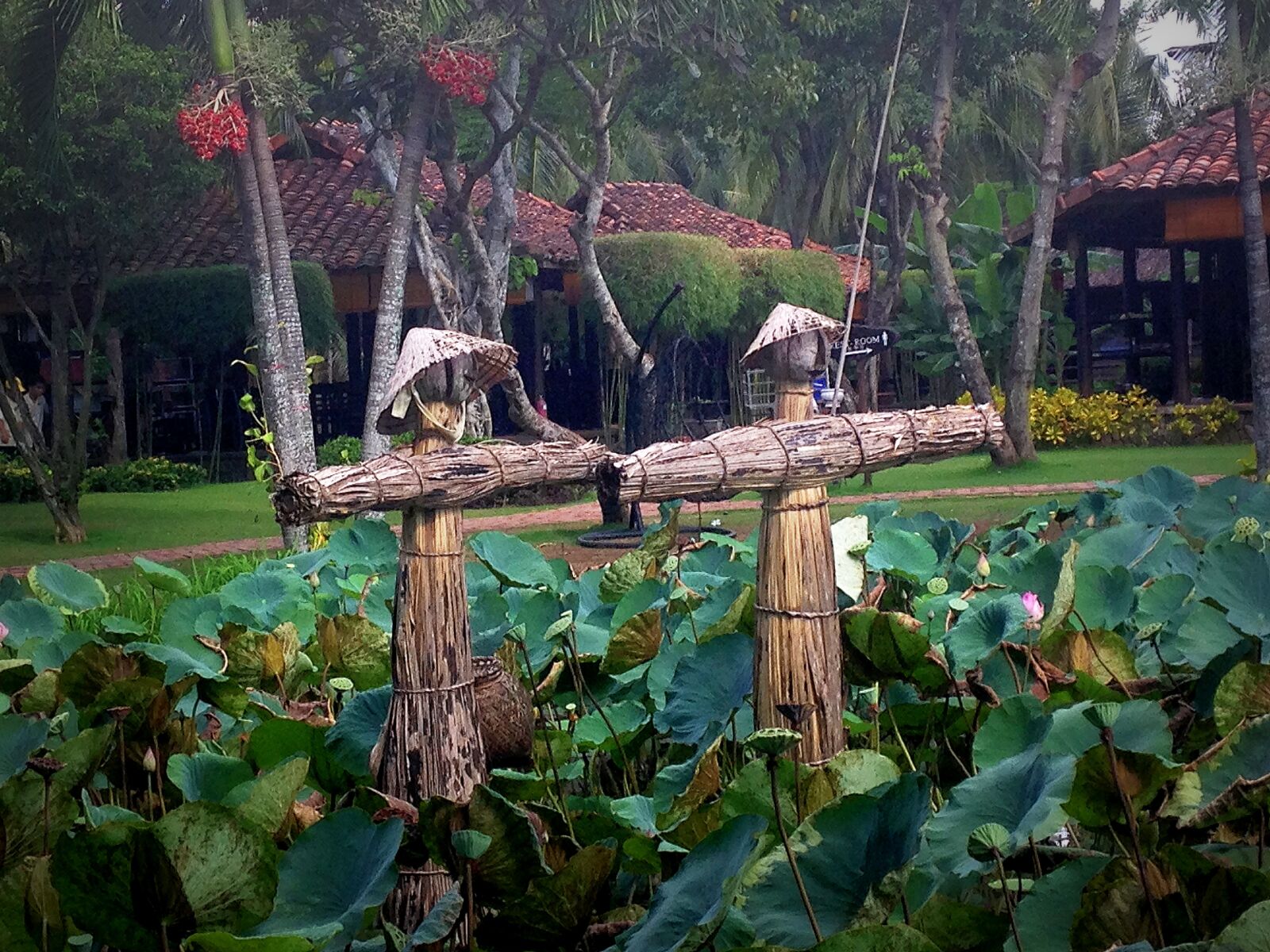 iPhone 5c back camera 4.12mm f/2.4 sample photo. Garden, lake, scarecrow, scarecrows photography