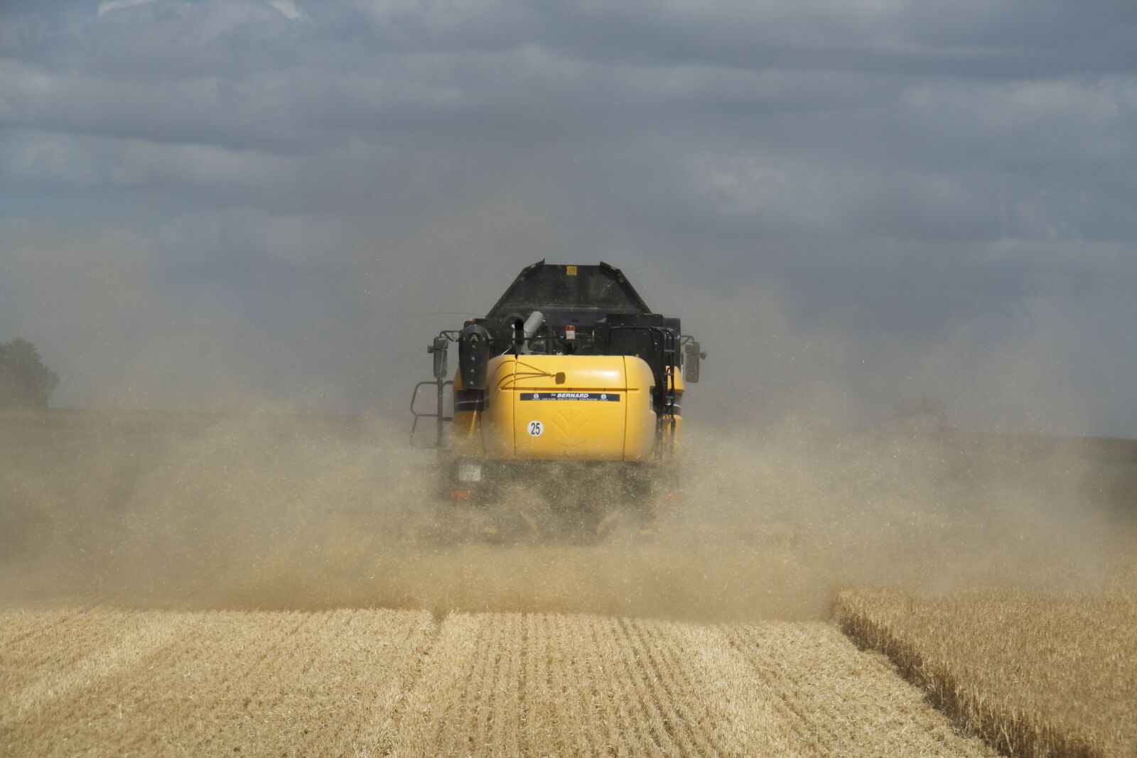 Canon EOS 500D (EOS Rebel T1i / EOS Kiss X3) sample photo. Fields, wheat, harvest photography