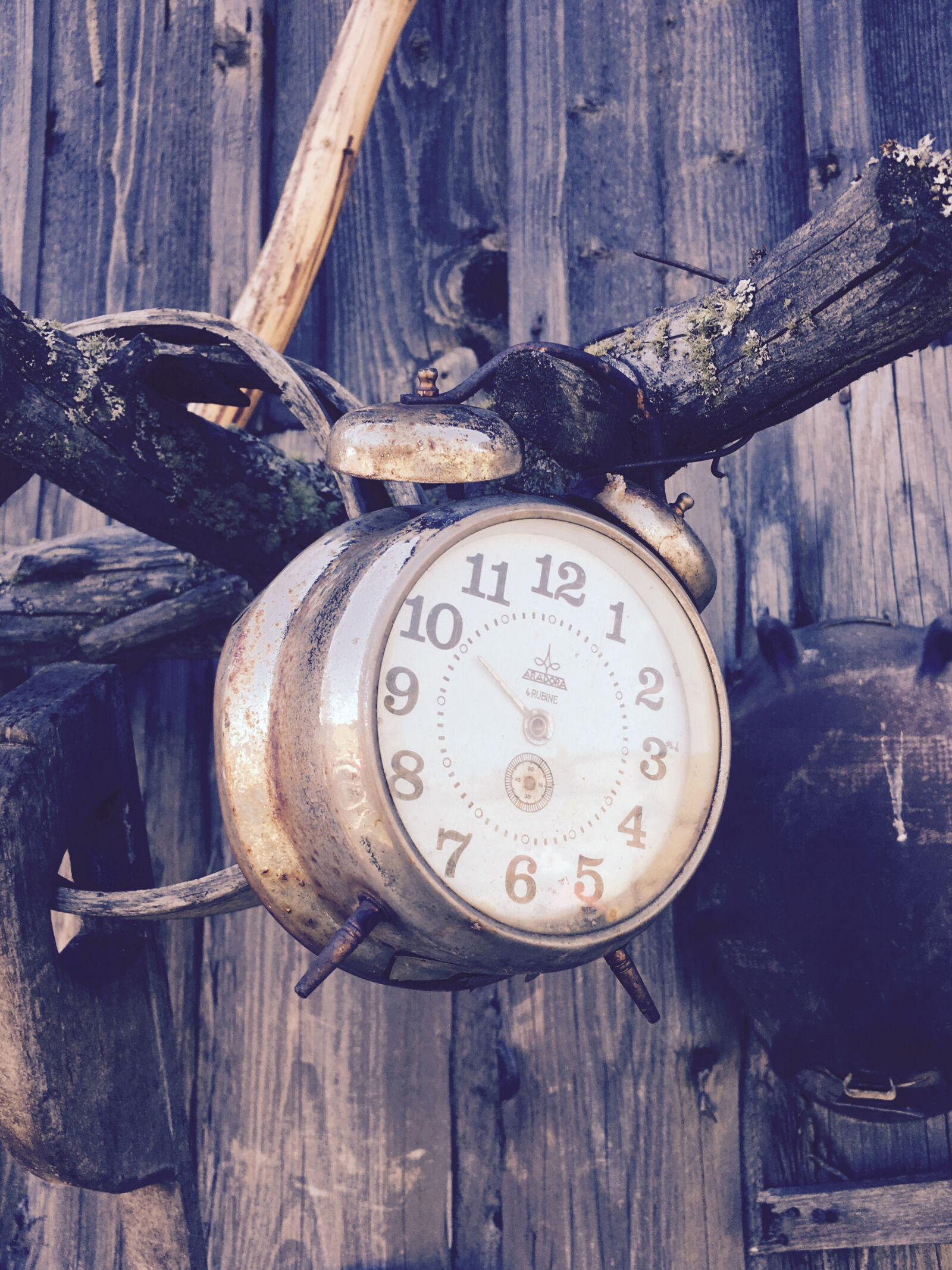 Apple iPhone 6s sample photo. Alarm, clock, hanging, on photography