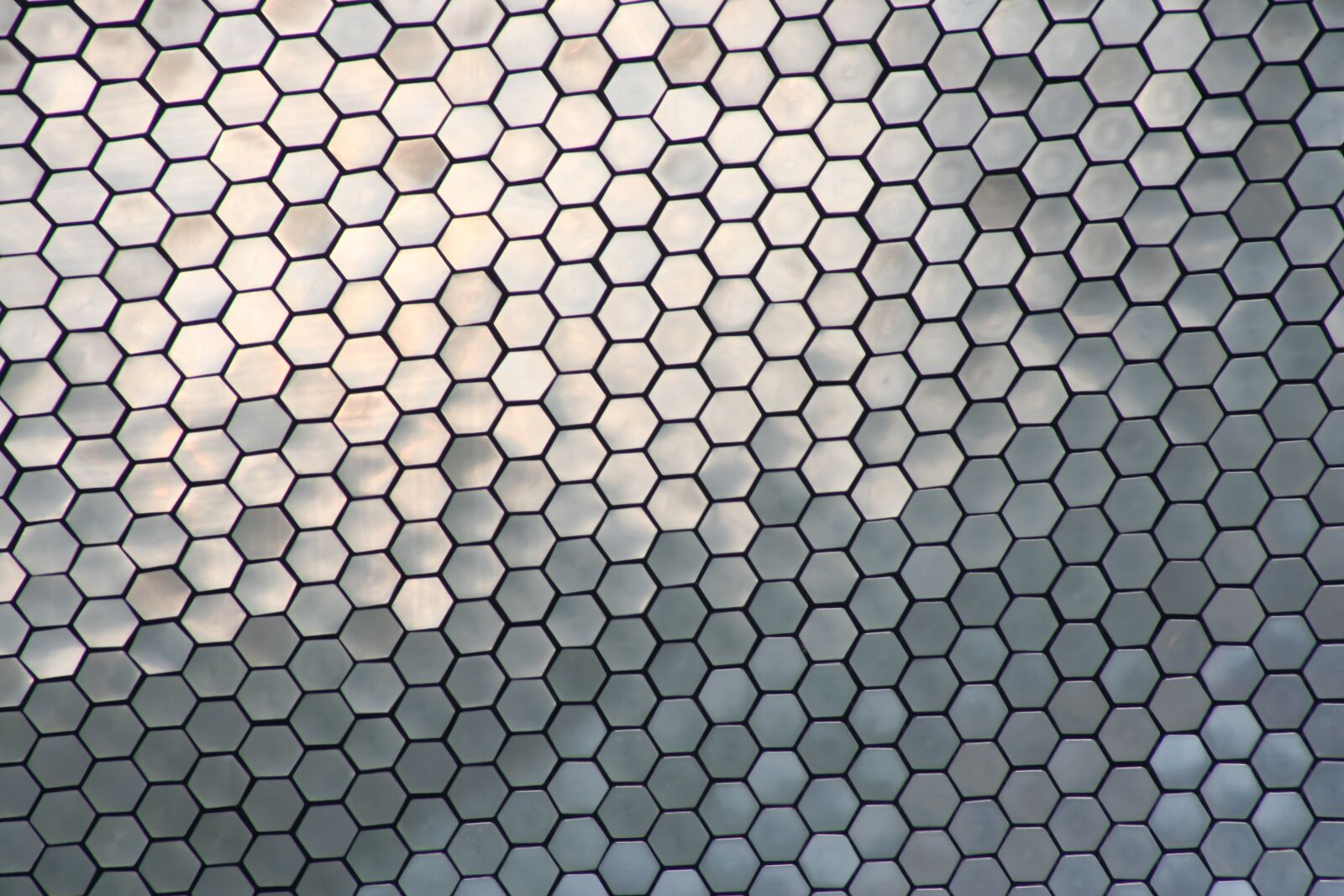 Canon EOS 350D (EOS Digital Rebel XT / EOS Kiss Digital N) sample photo. Hexagon, texture, metal photography