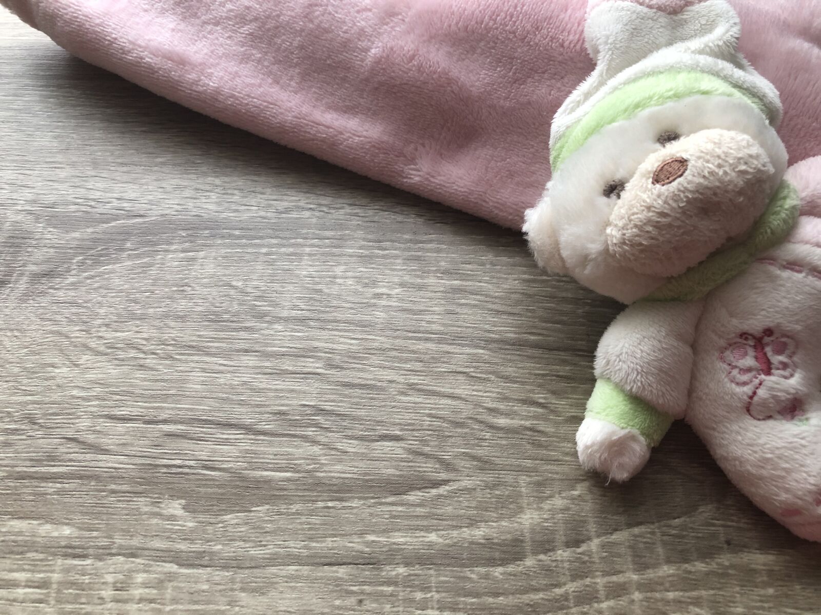 Apple iPhone 8 Plus sample photo. Teddy, toy, clothing photography