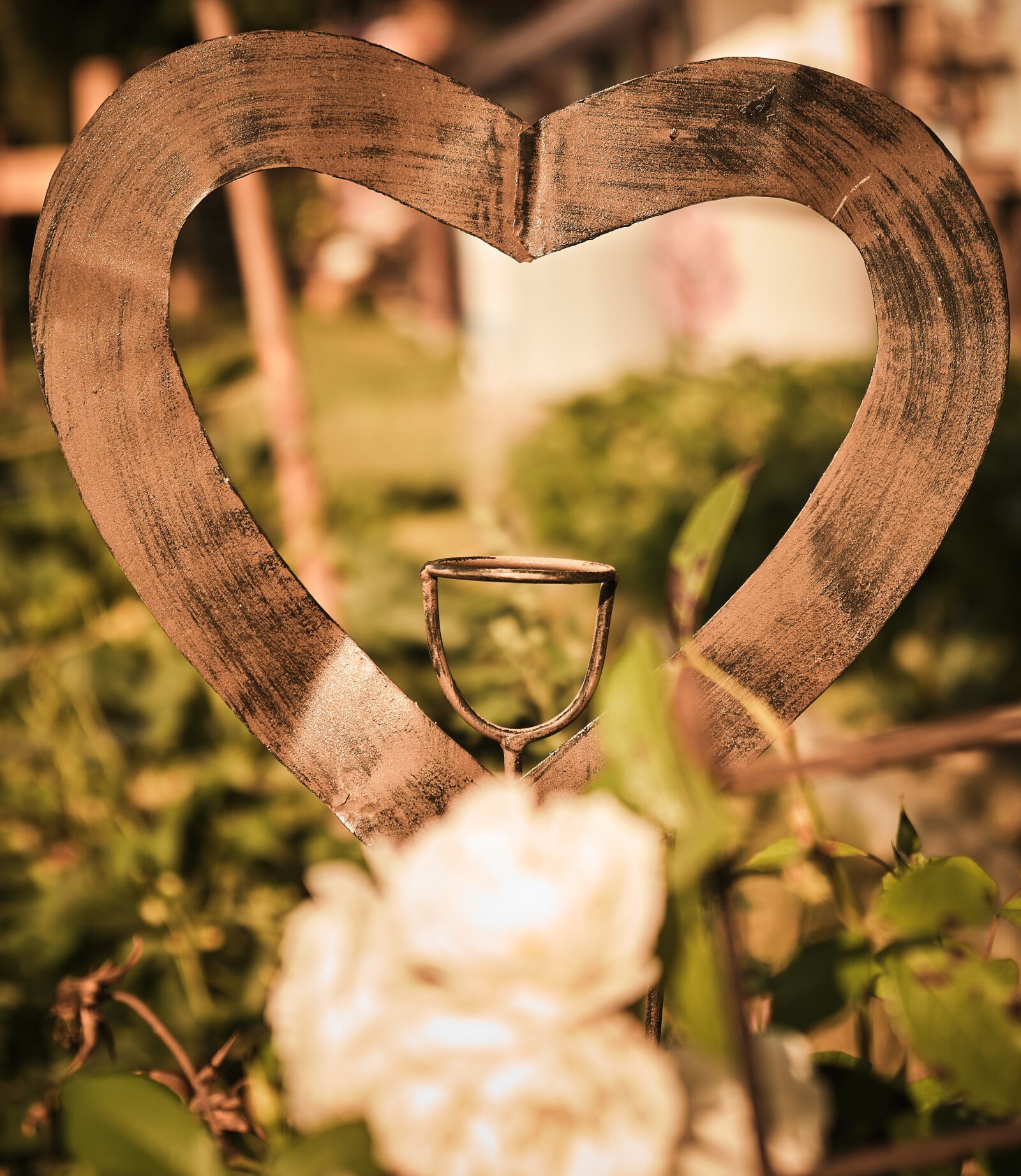 Fujifilm XF 18-55mm F2.8-4 R LM OIS sample photo. Heart, love, garden photography