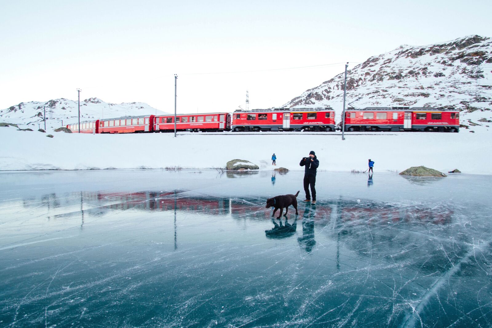 Canon EOS 7D sample photo. Daylight, dog, explore, frozen photography
