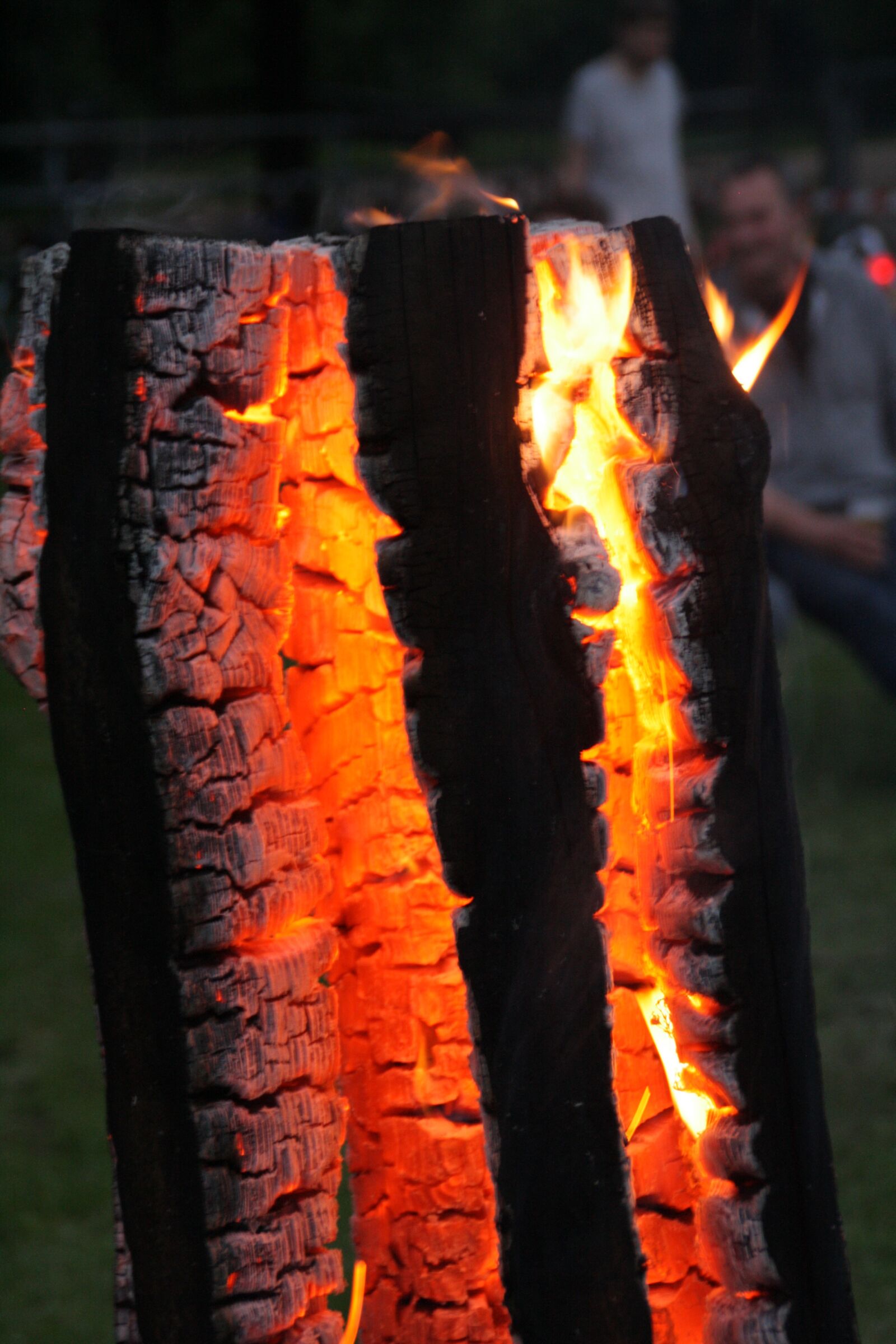 Canon EOS 1000D (EOS Digital Rebel XS / EOS Kiss F) sample photo. Fire, wood, flame photography