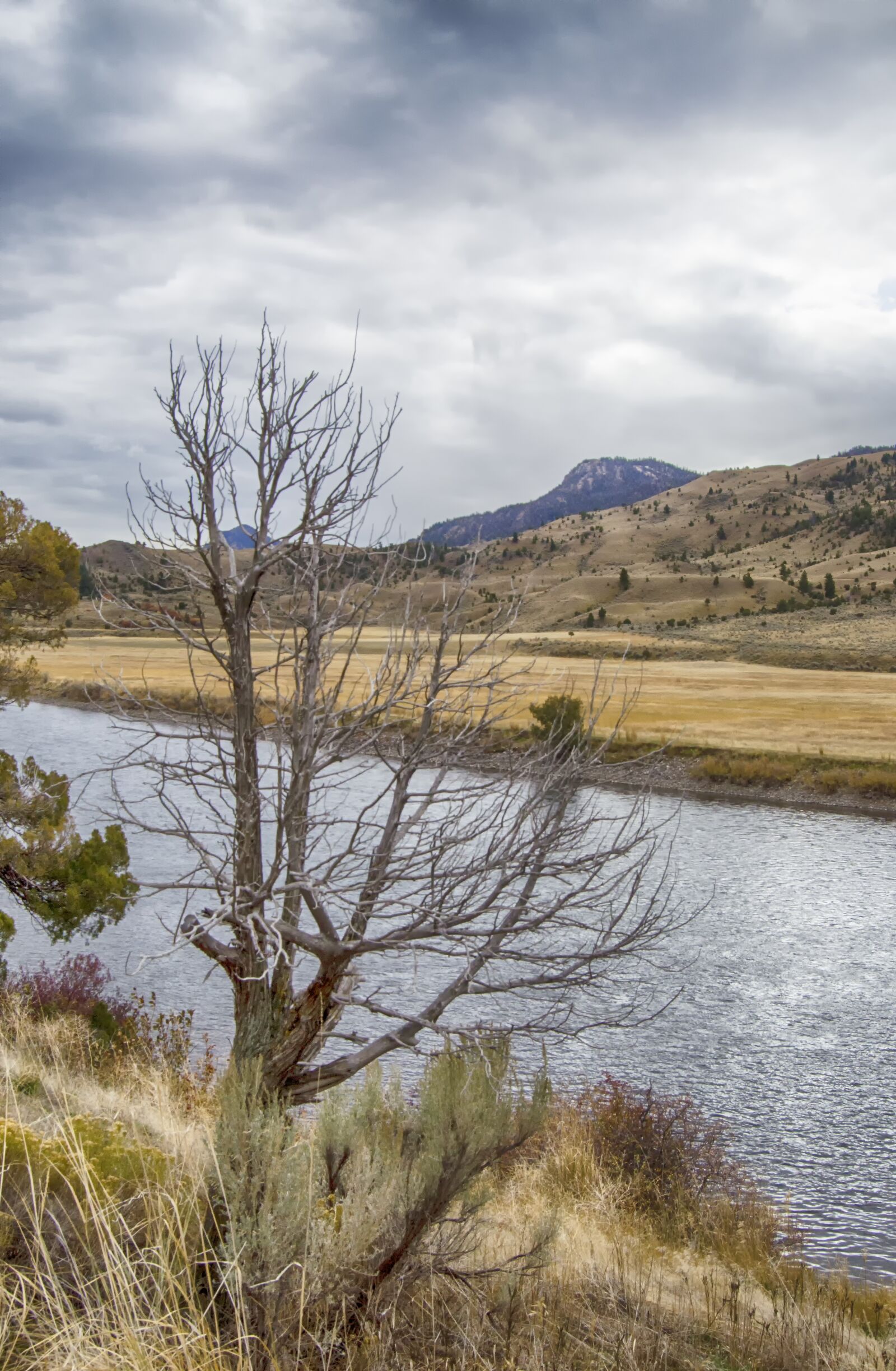Nikon D5100 sample photo. Montana, usa, gardner river photography