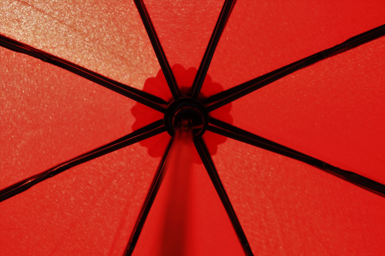 Canon EF-S 35mm F2.8 Macro IS STM sample photo. Umbrella, screen, red photography