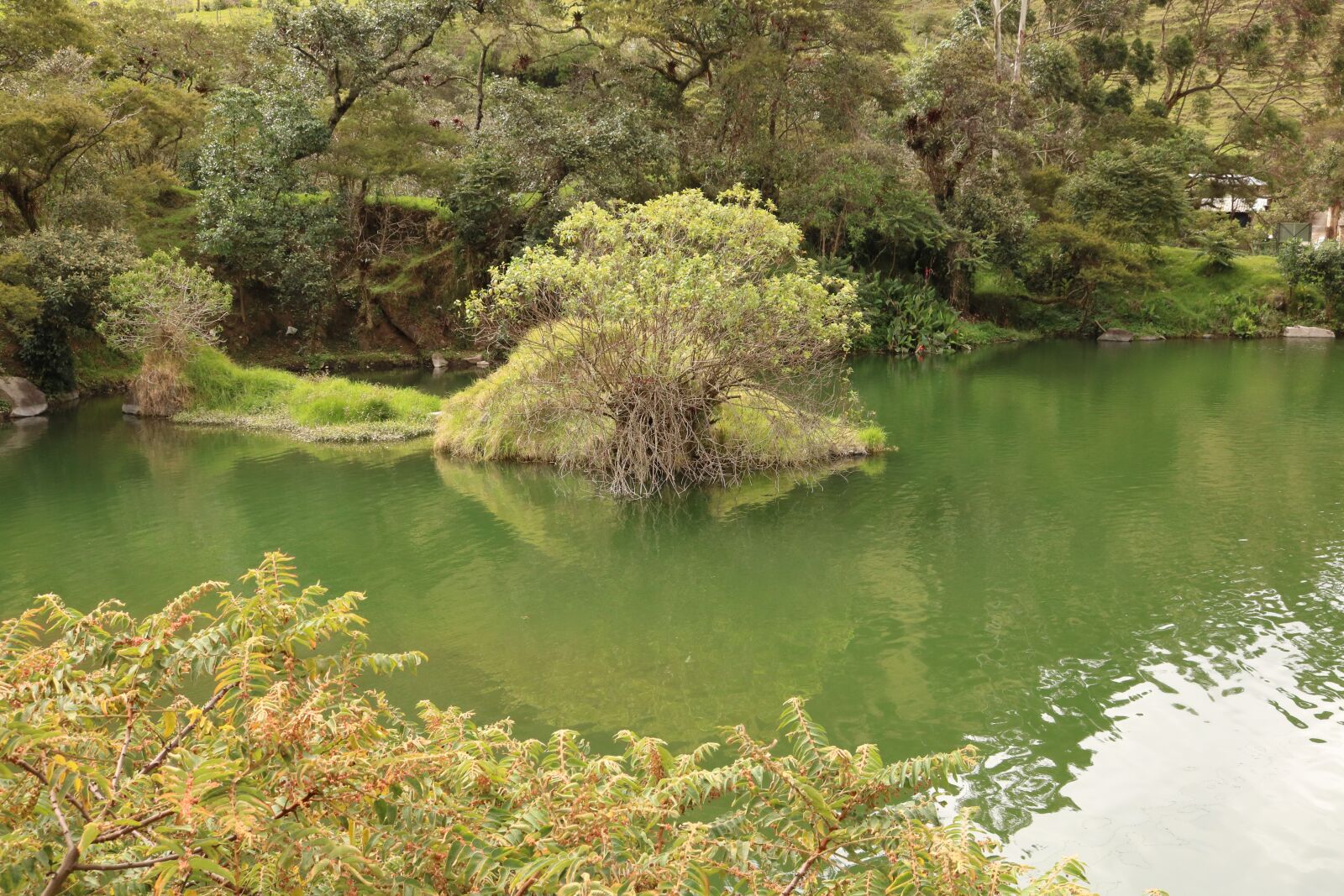 Canon EOS 750D (EOS Rebel T6i / EOS Kiss X8i) sample photo. Field, lake, landscape photography
