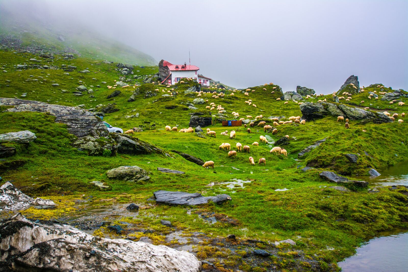 Nikon D7100 sample photo. Lake, water, landscape photography