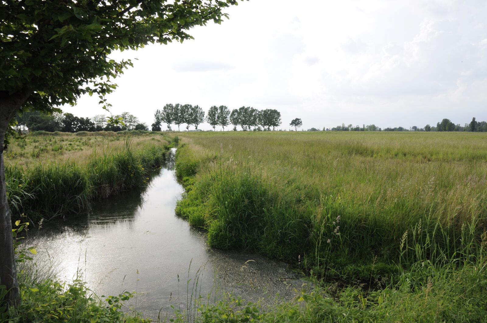 Nikon D5000 sample photo. River, nature, water photography