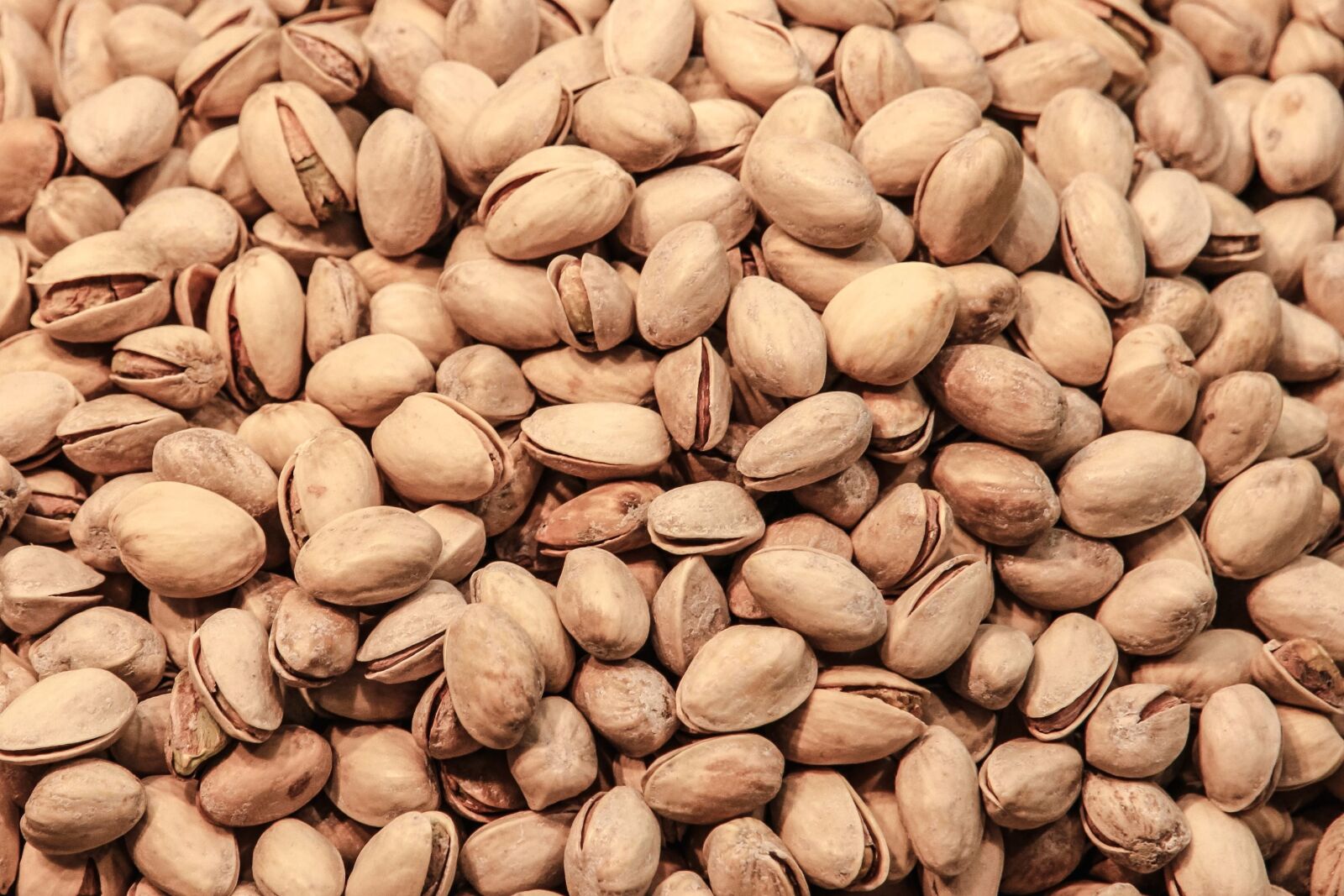 Canon EOS 7D sample photo. Seed, food, brown, ingredient photography
