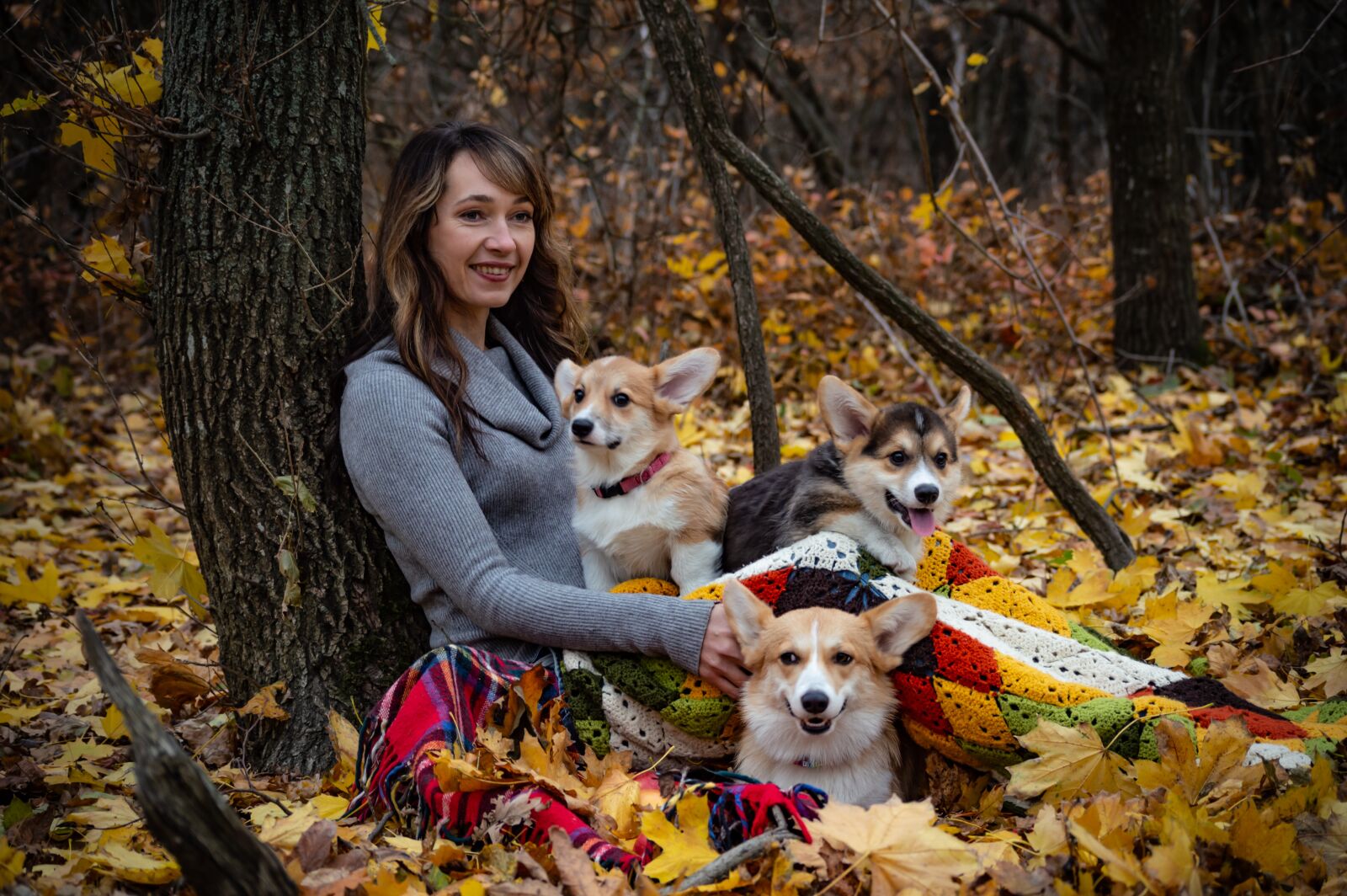 Nikon D3200 sample photo. Welsh corgi pembroke, corgi photography