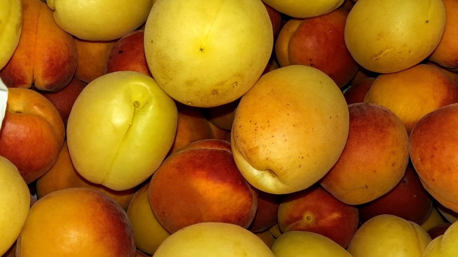 Samsung Galaxy A3 sample photo. Apricot, fruits, apricots photography