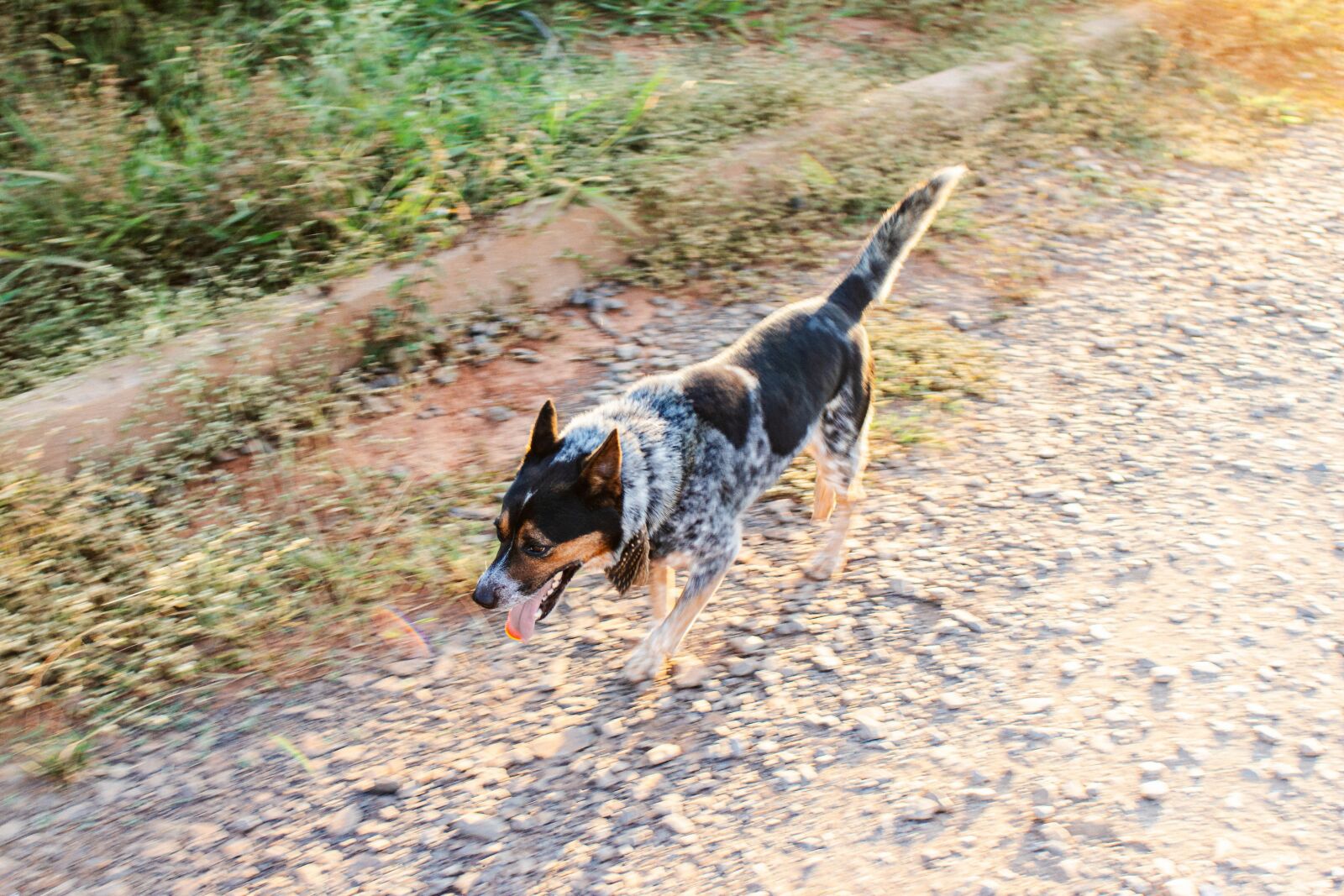 Sony 28mm F2.8 sample photo