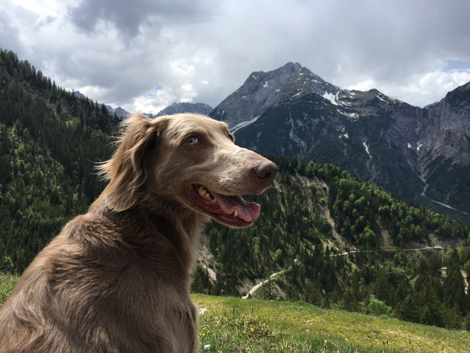 Apple iPhone 6s sample photo. Mountains, hiking, austria photography