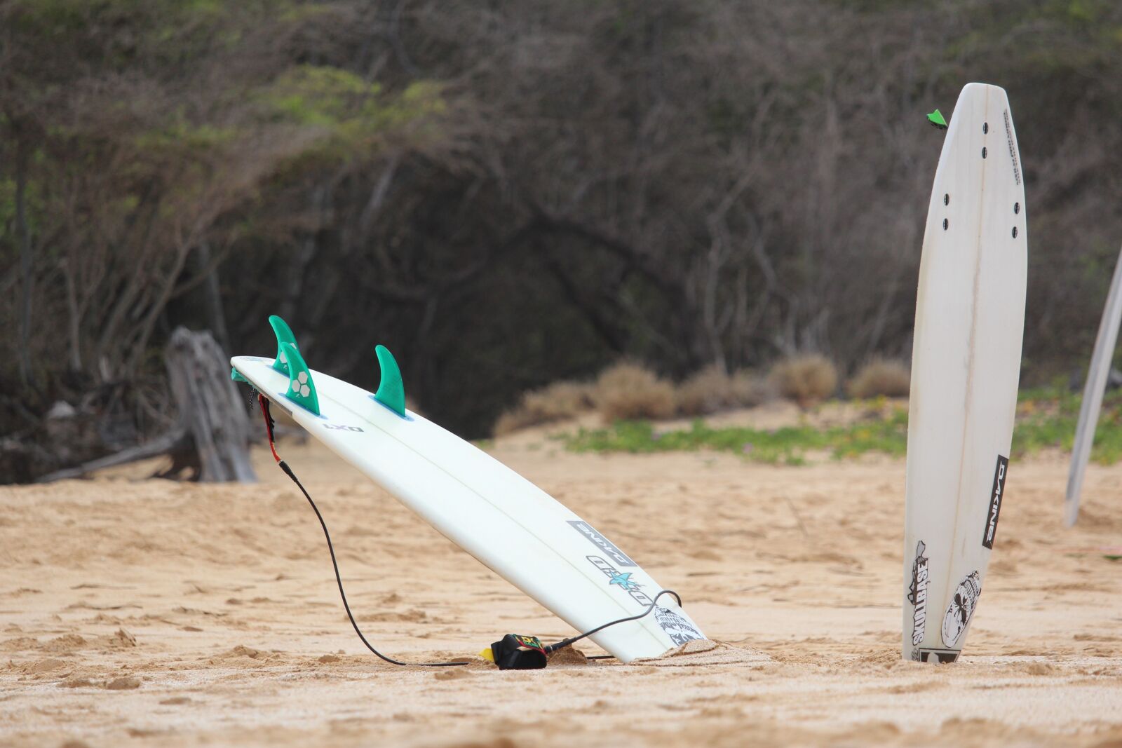 Canon EOS 1200D (EOS Rebel T5 / EOS Kiss X70 / EOS Hi) sample photo. Surfboard, maui, beach photography