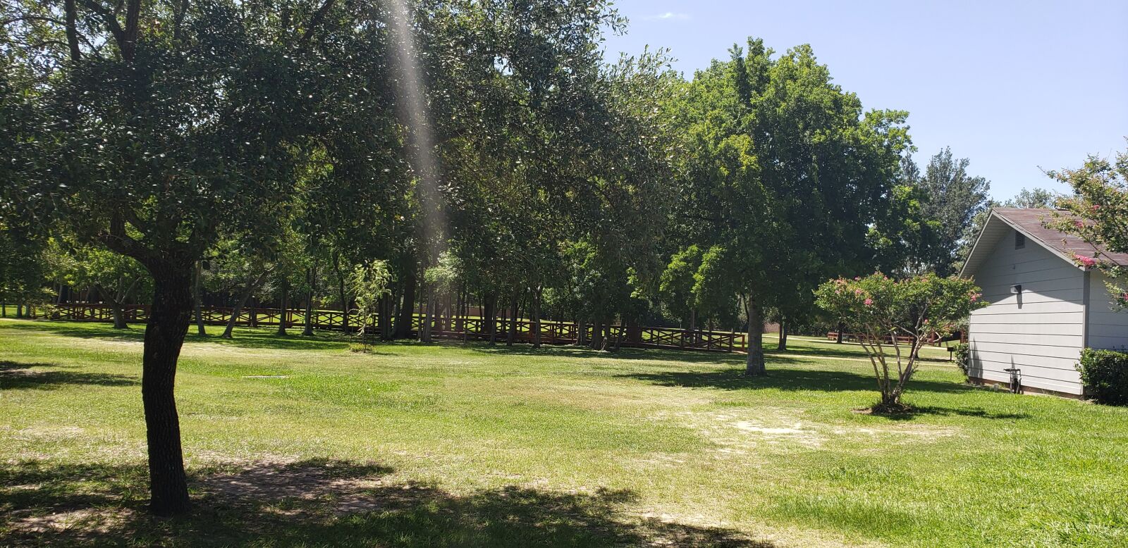 Samsung Galaxy Note9 sample photo. Beautiful, nature, lovely photography