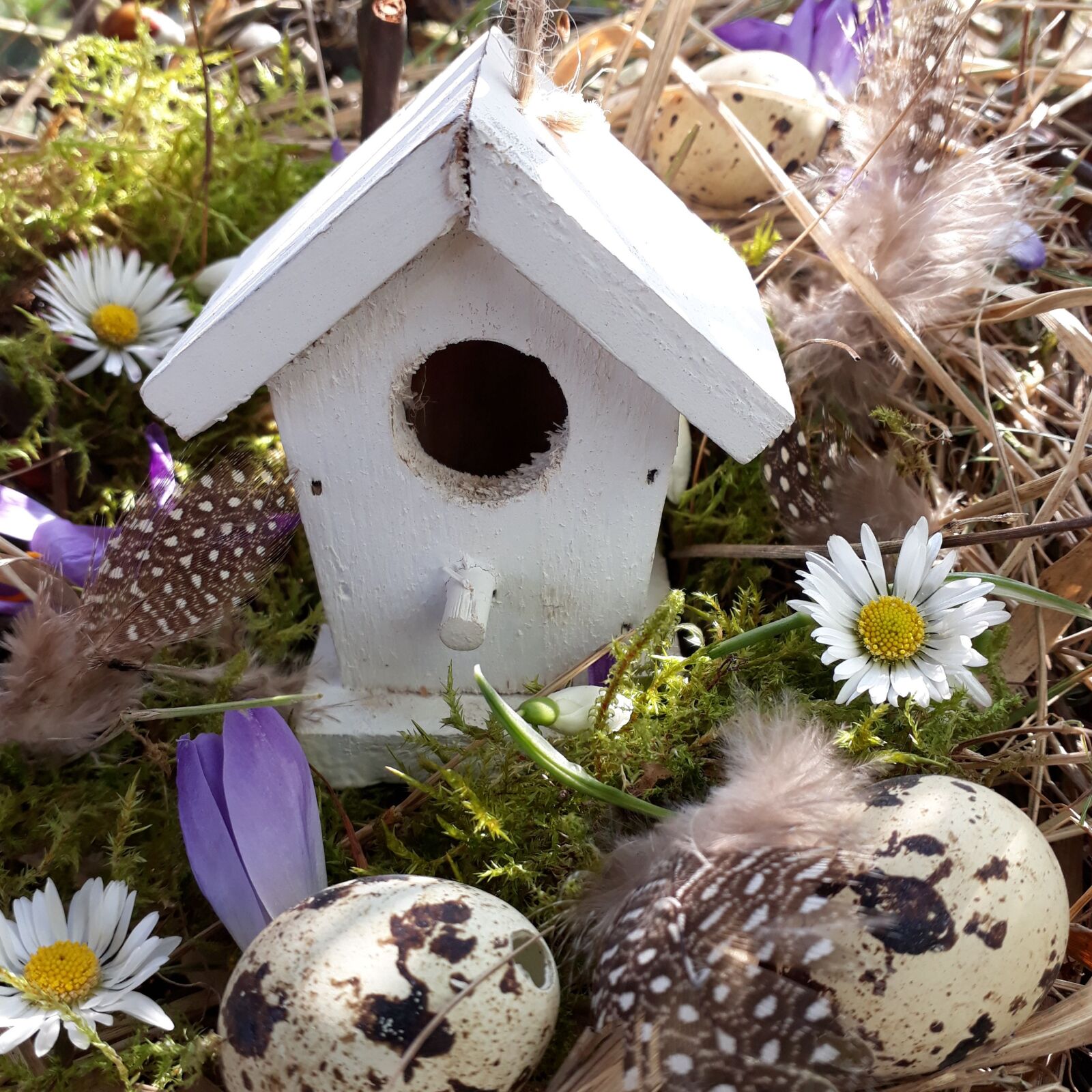 Samsung Galaxy A3(2017) sample photo. Aviary, easter nest, egg photography