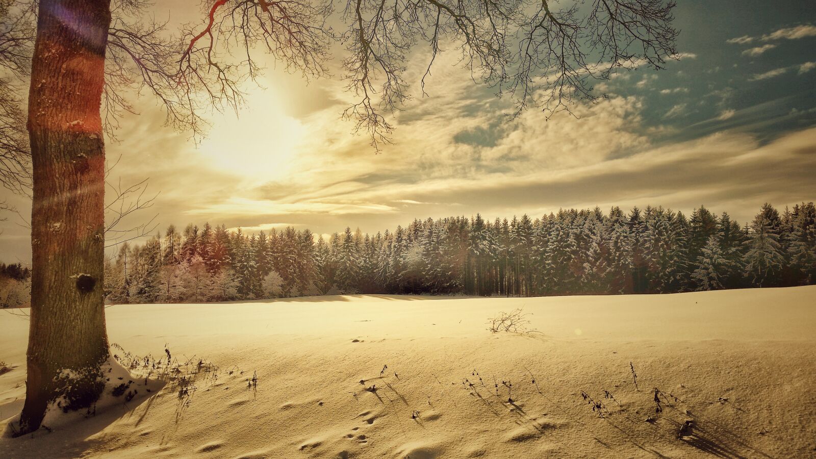 Samsung Galaxy S5 sample photo. Winter, snow landscape, nature photography