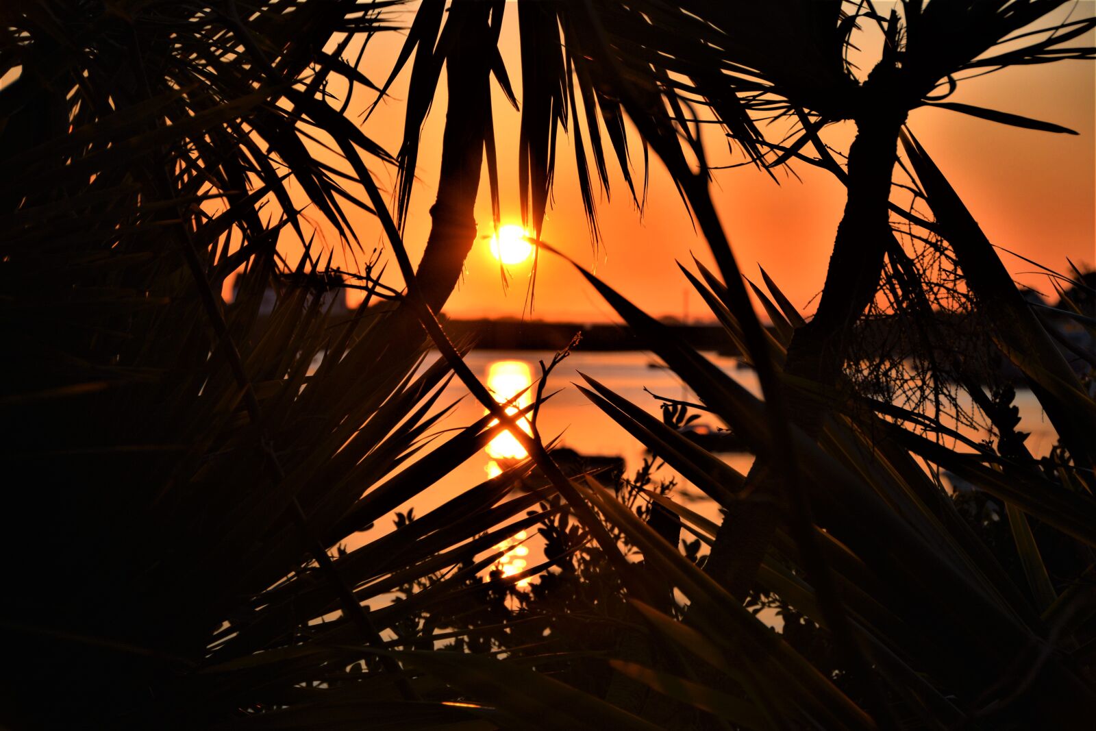 Nikon D7100 sample photo. France, isle of batz photography