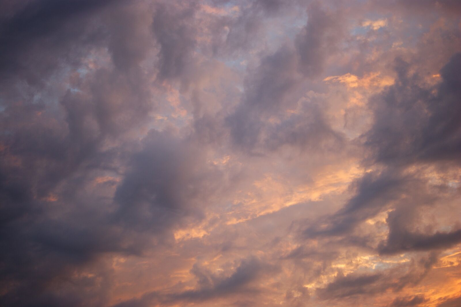 Sony Alpha DSLR-A290 sample photo. Sky, summer, clouds photography