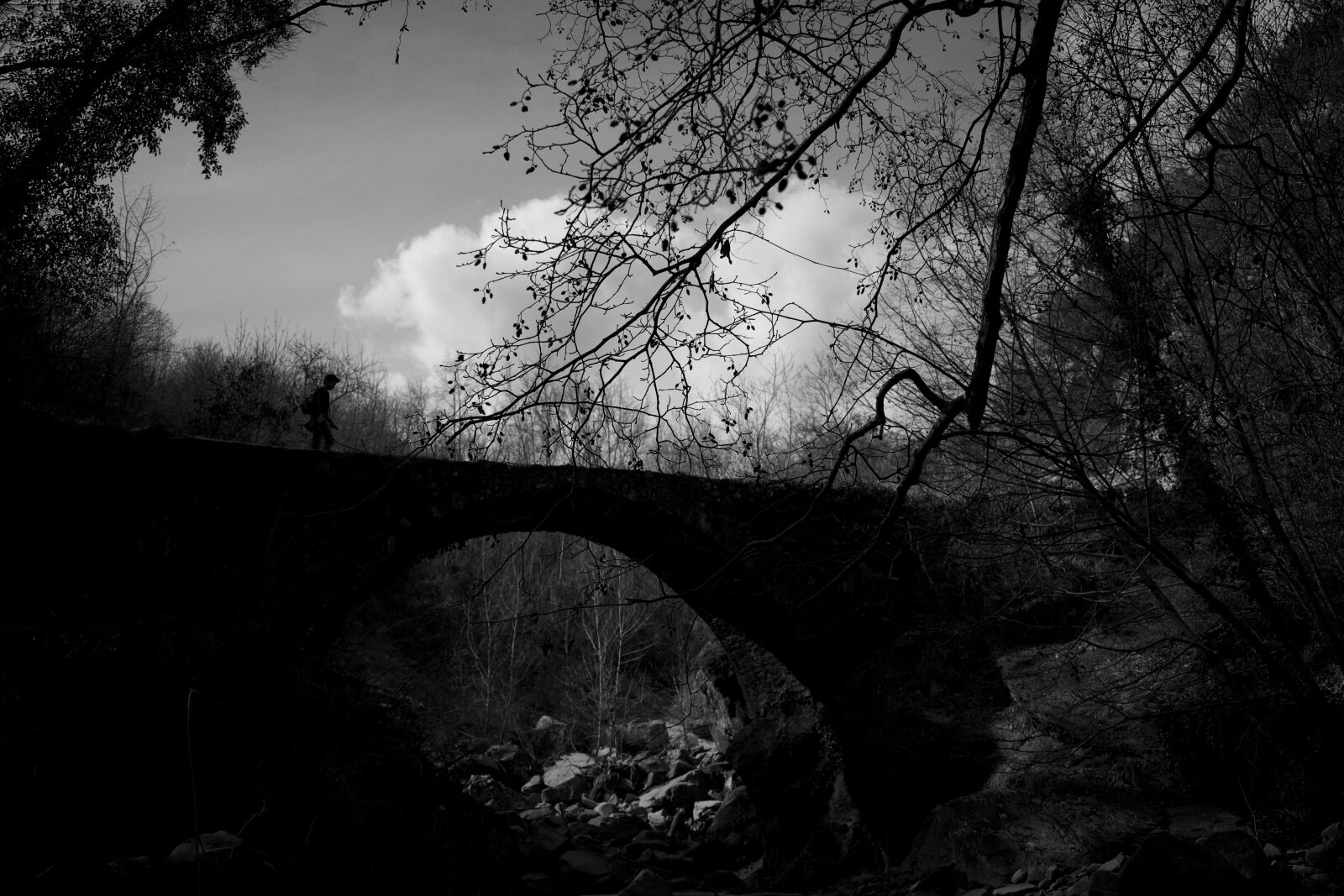 Nikon D5300 sample photo. Black, white, blackandwhite photography