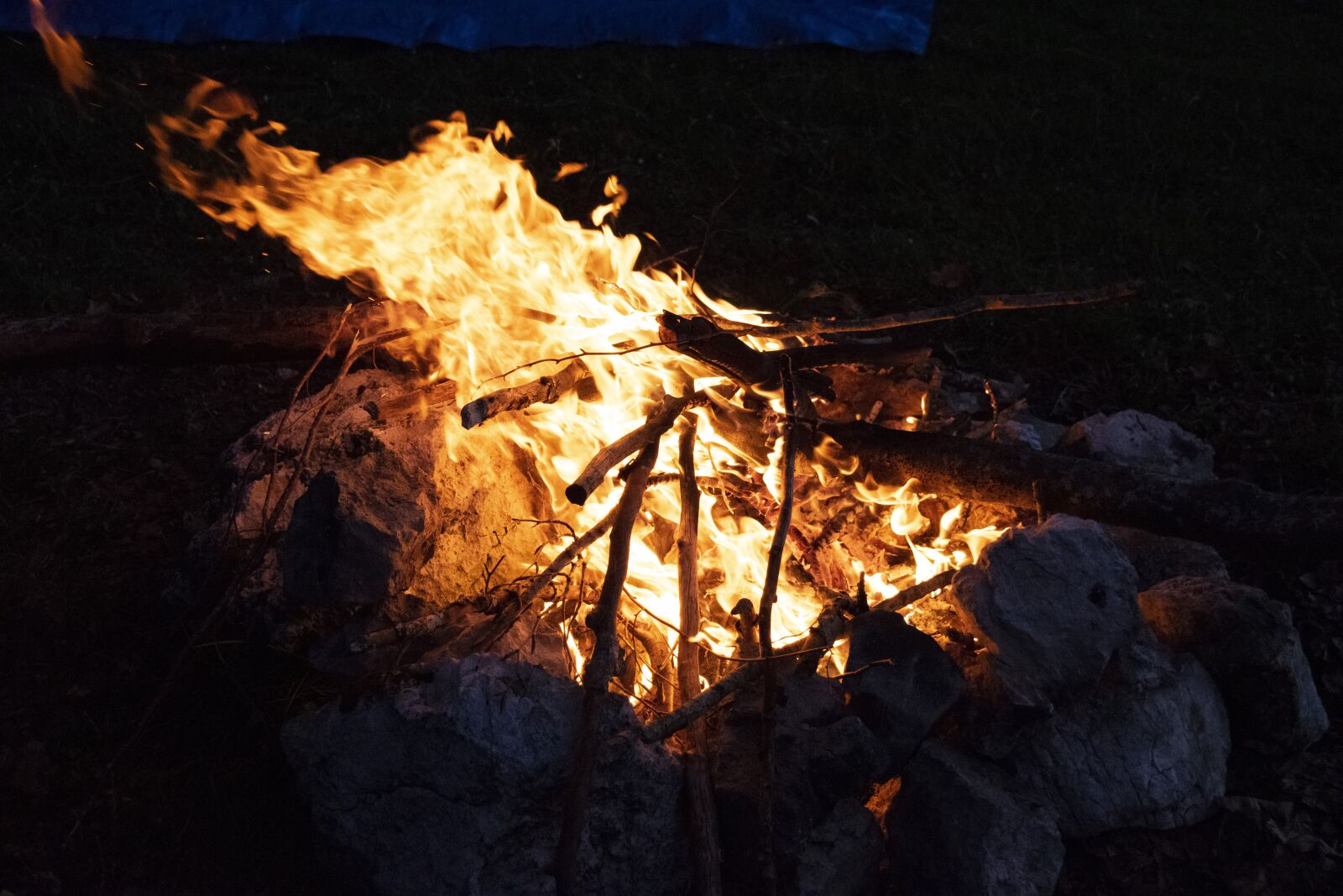 Nikon D3300 sample photo. Fire, fireplace, flame photography