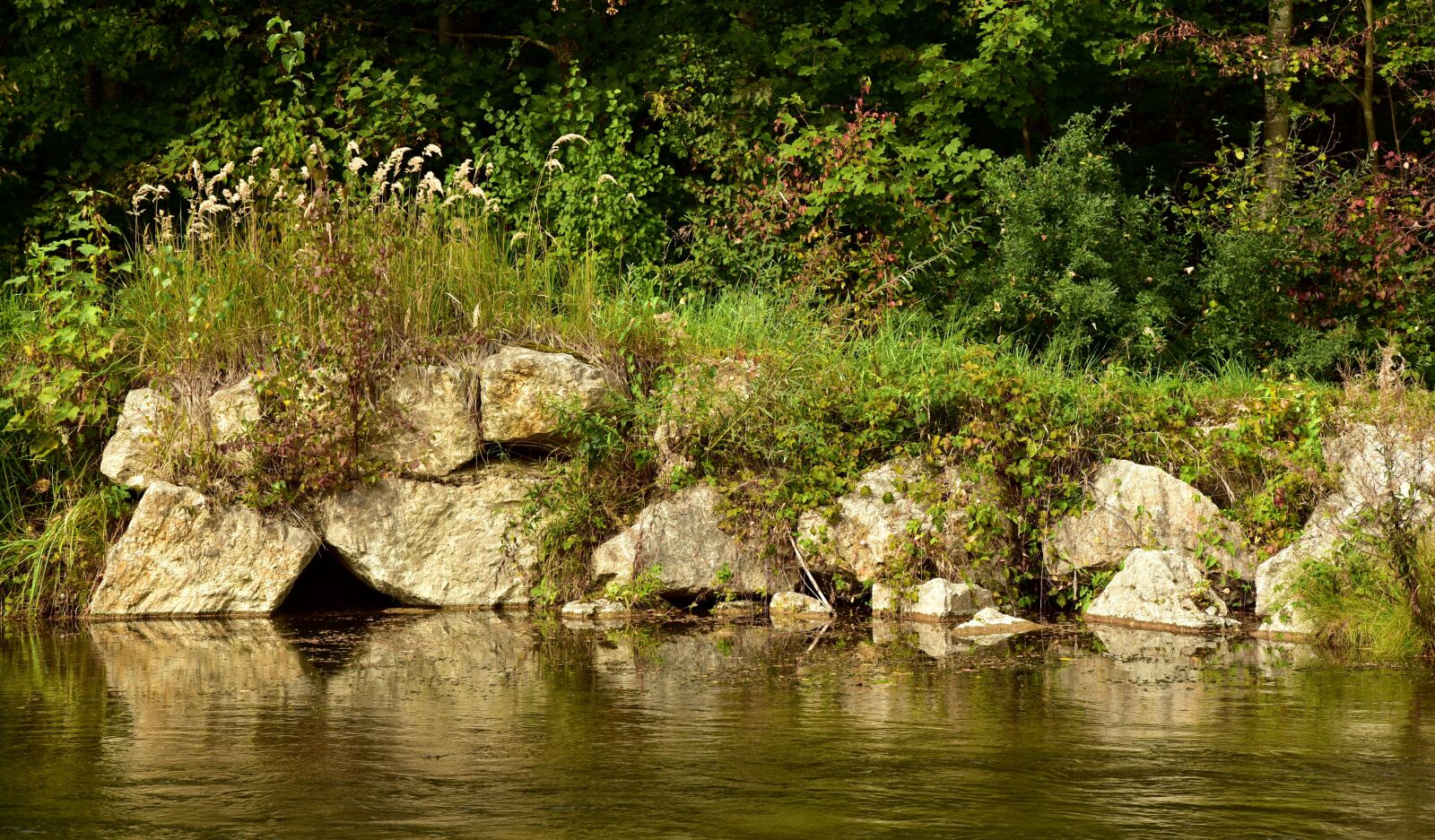 Nikon D750 sample photo. Bank, riverside, nature photography