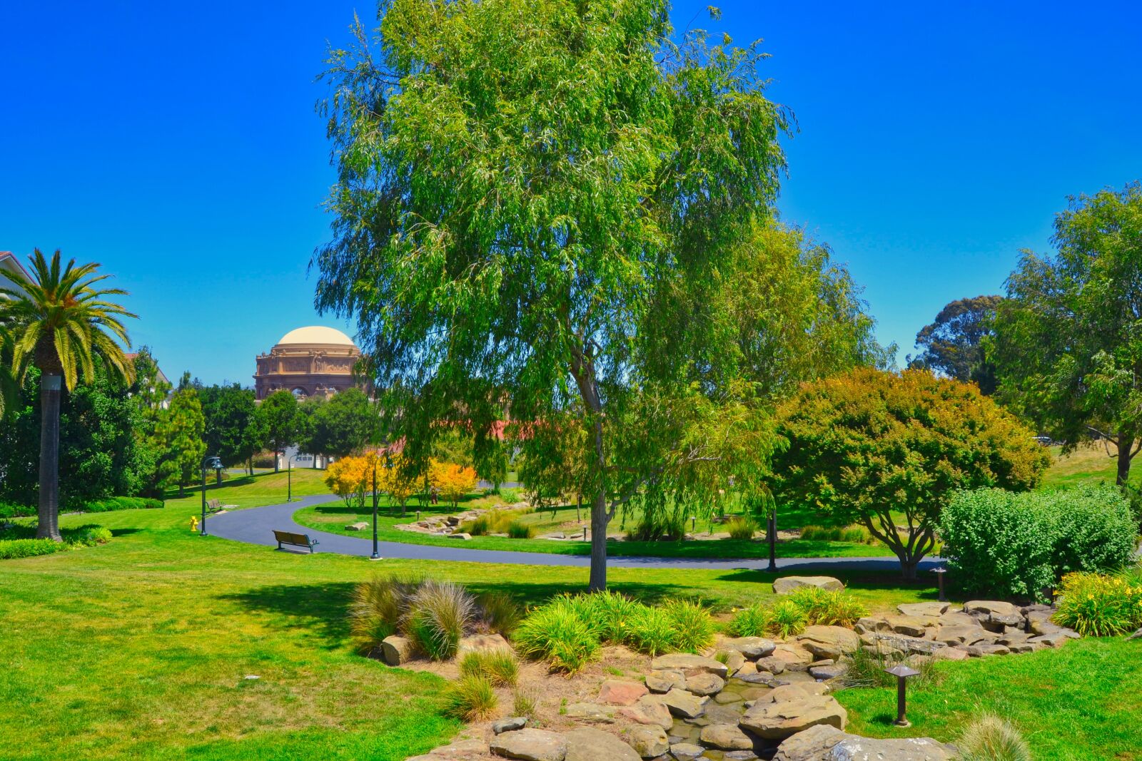Nikon D3100 sample photo. Park, presido, palace of photography
