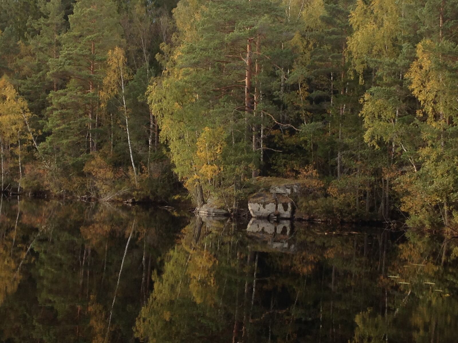 iPhone 5 back camera 4.12mm f/2.4 sample photo. Lake, småland, nature photography