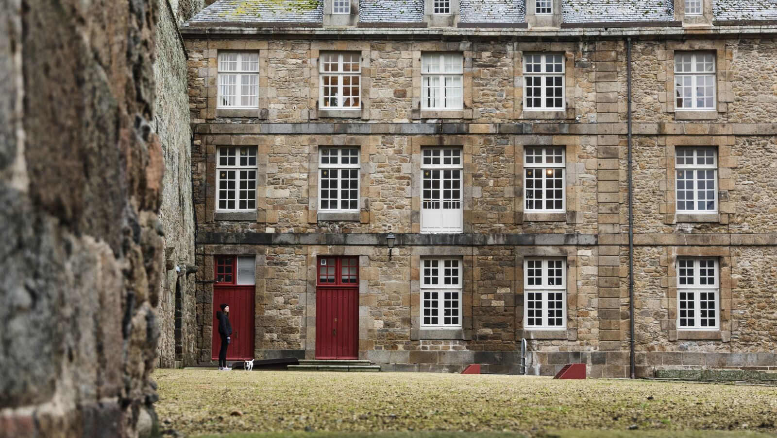 Nikon D5600 sample photo. Building, window, architecture photography