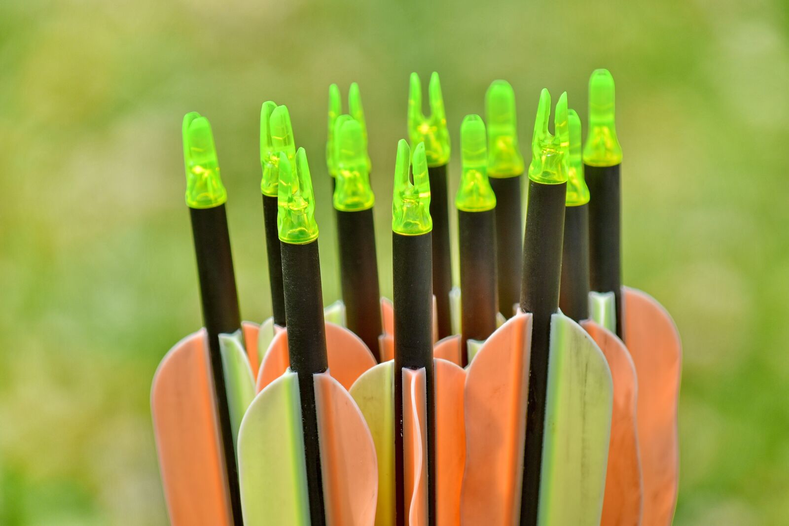 Nikon D5500 sample photo. Archery, arrow, arrowhead, close-up photography
