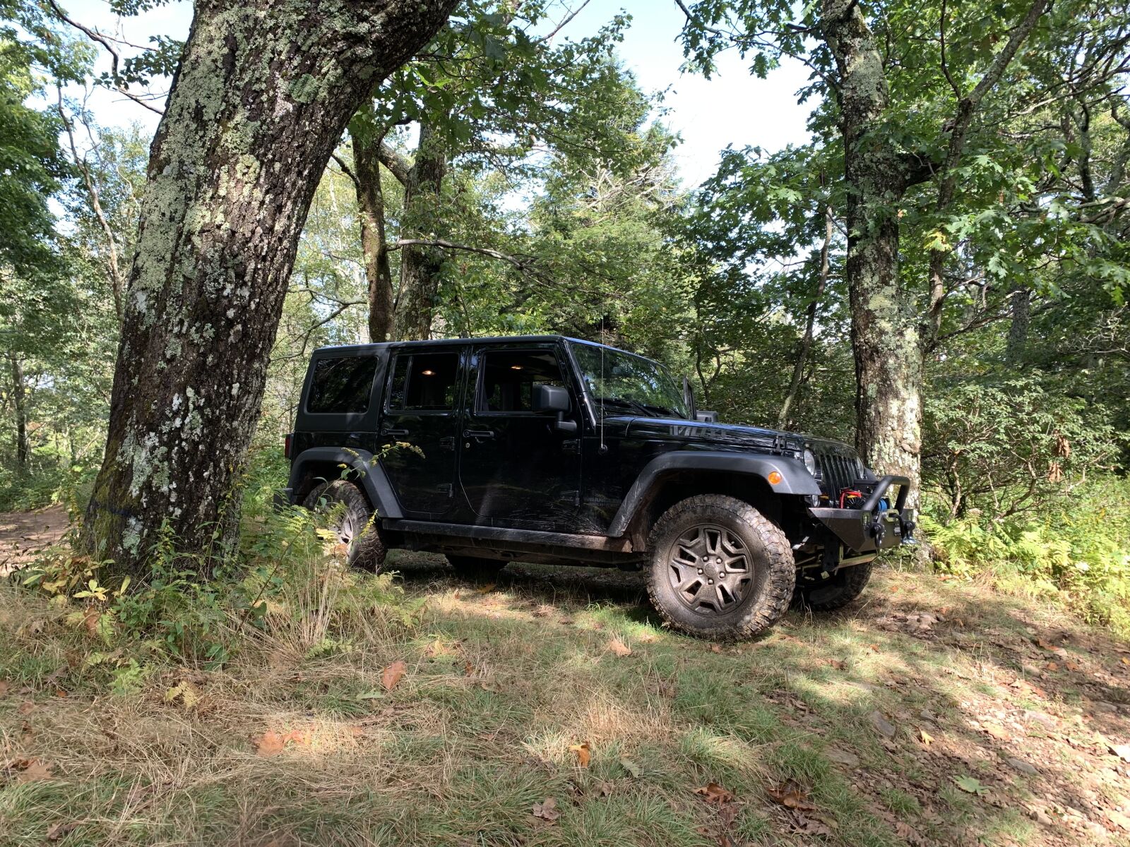 Apple iPhone XR sample photo. Jeep, trail, travel photography