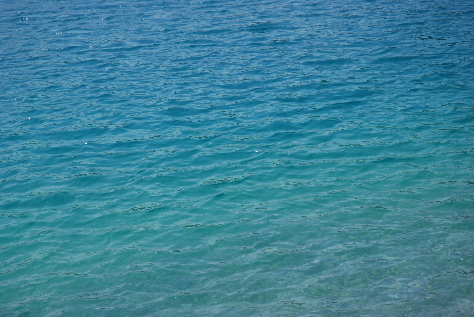 Nikon D80 sample photo. Lake, water, structure photography