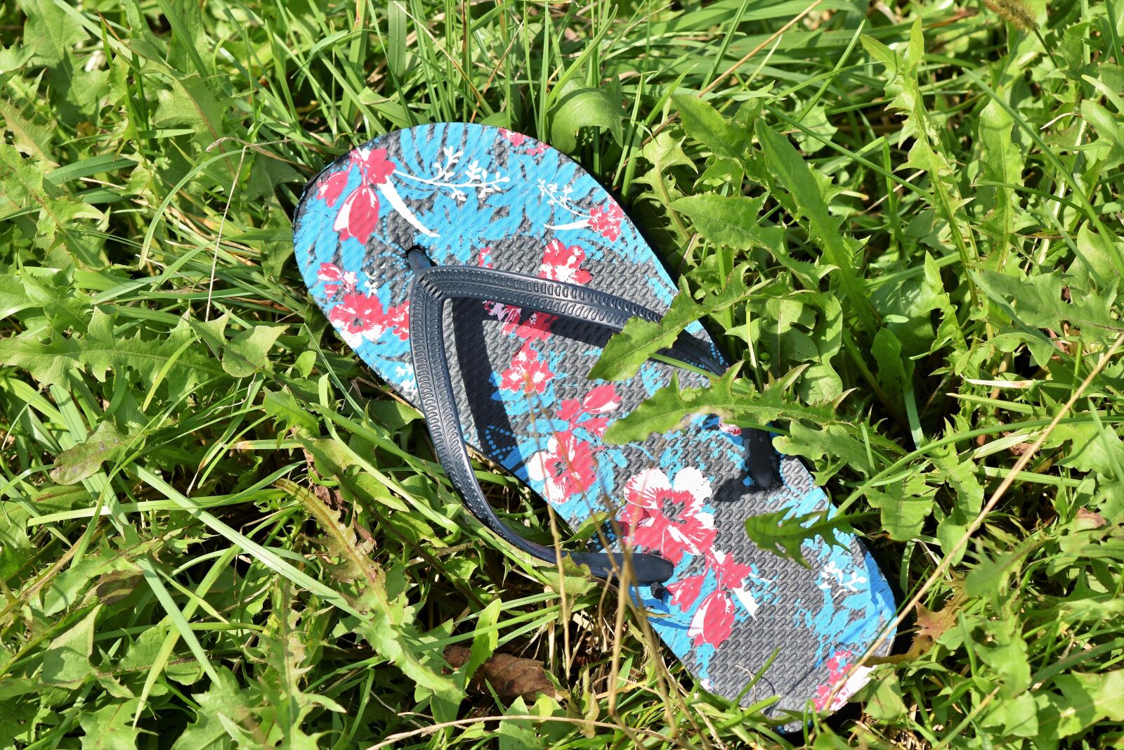 Nikon D7200 sample photo. Flip flop, shoe, mountain photography