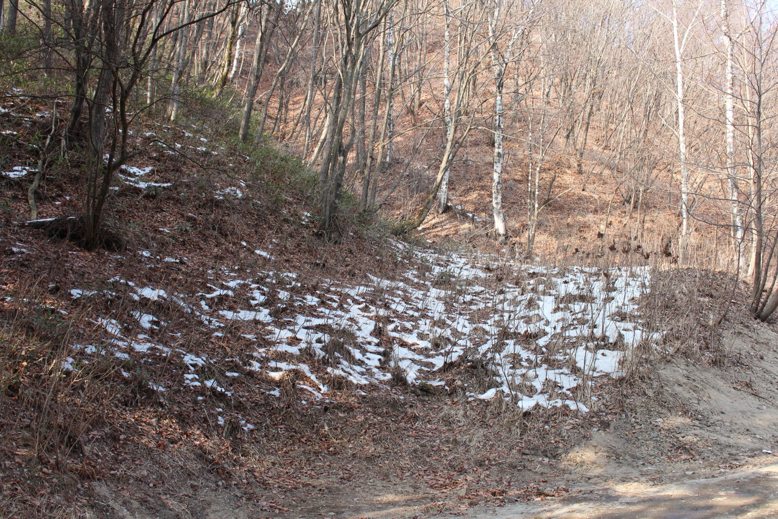 Canon EOS 700D (EOS Rebel T5i / EOS Kiss X7i) sample photo. Korea, snow, winter photography