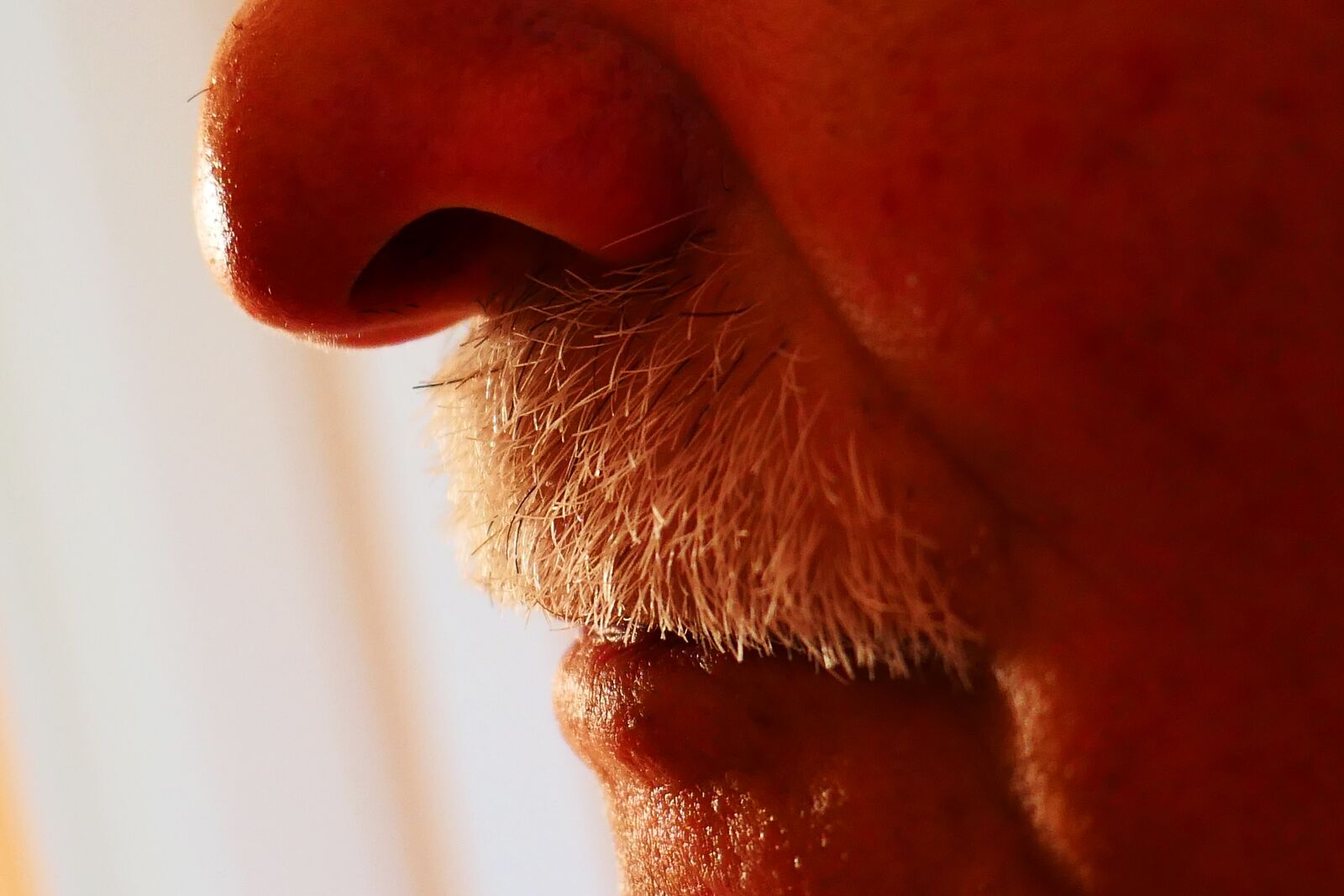 Panasonic Lumix DMC-LX10 (Lumix DMC-LX15) sample photo. Nose, rich organ, nose photography