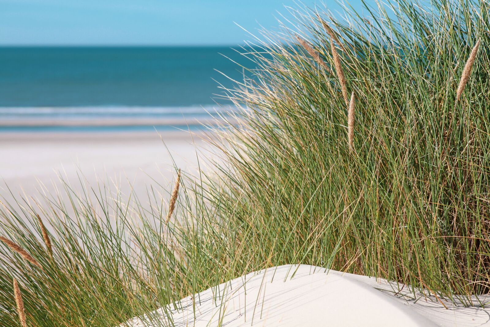 Canon EOS 5D Mark II sample photo. Dunes, summer feeling, dune photography