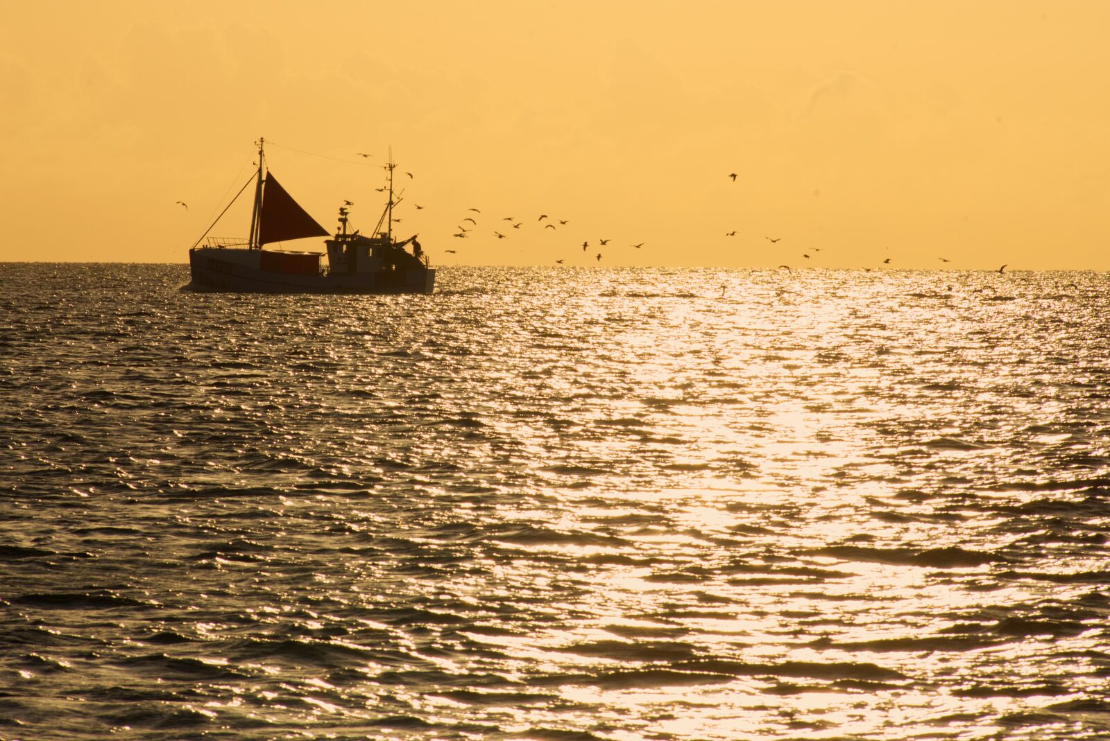Nikon D750 sample photo. Fishing, ocean, fish photography